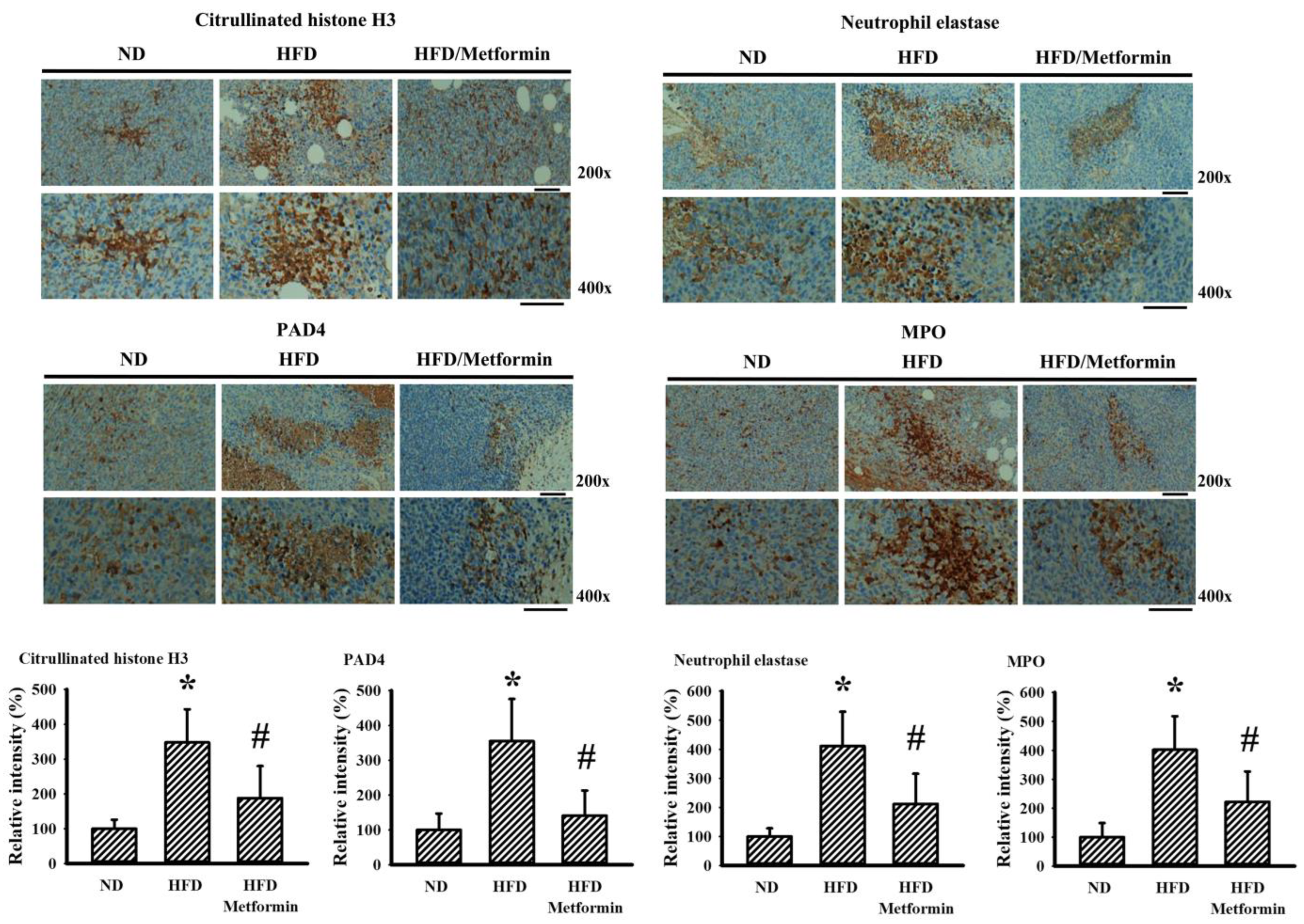 Ijms 23 09134 g008 550