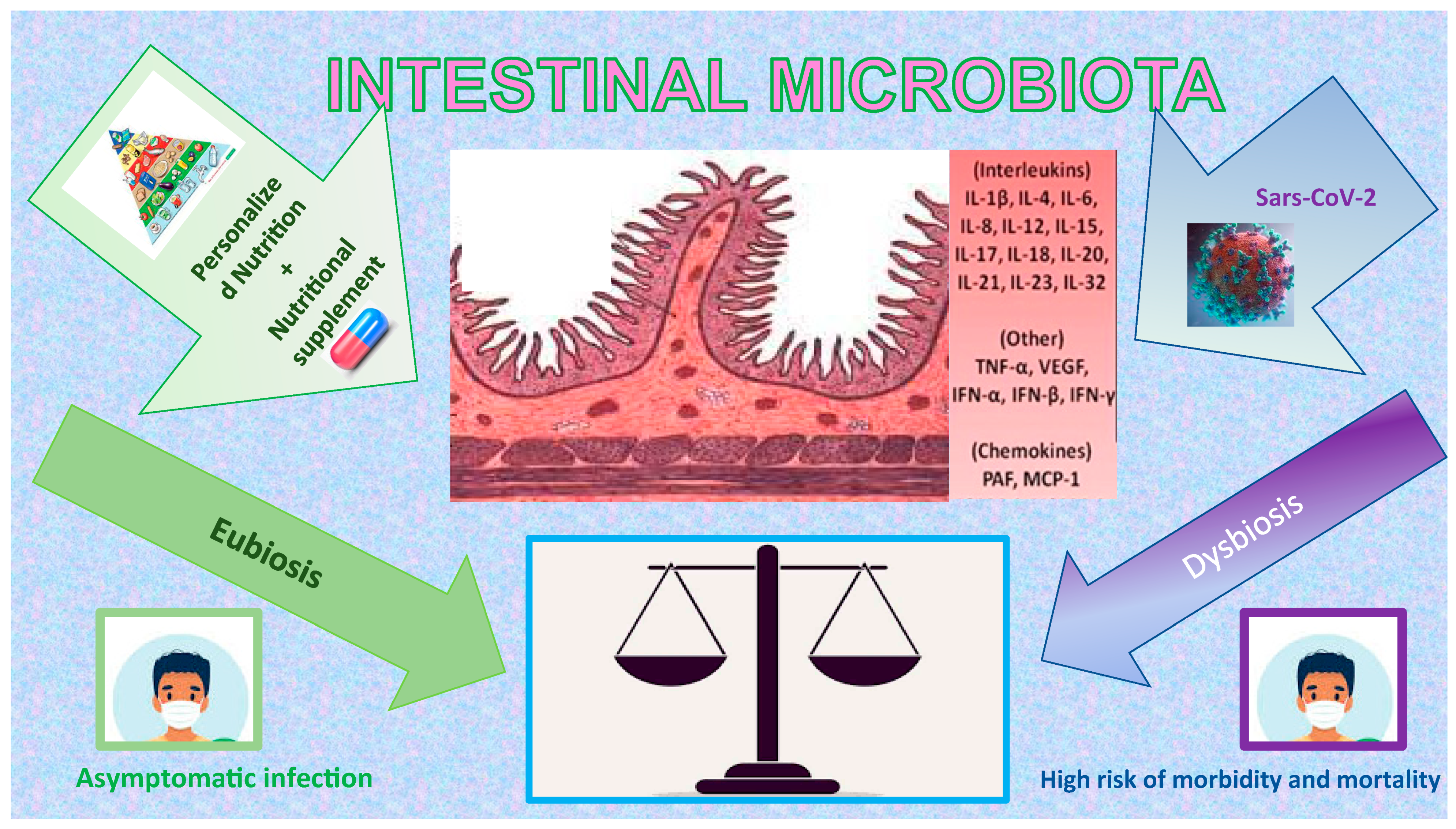 Ijms 23 09136 g001 550
