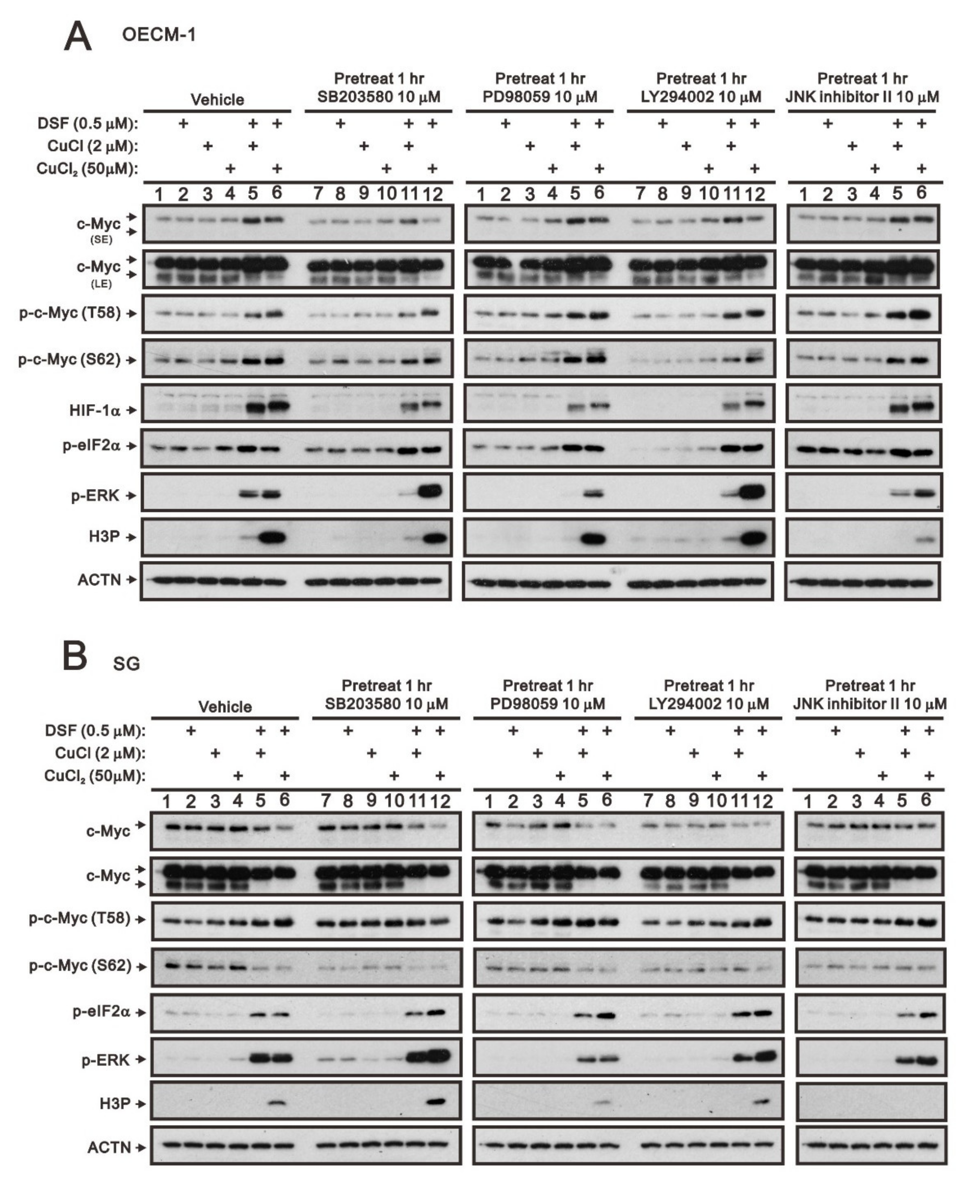 Ijms 23 09137 g002 Ijms 23 09137 g002