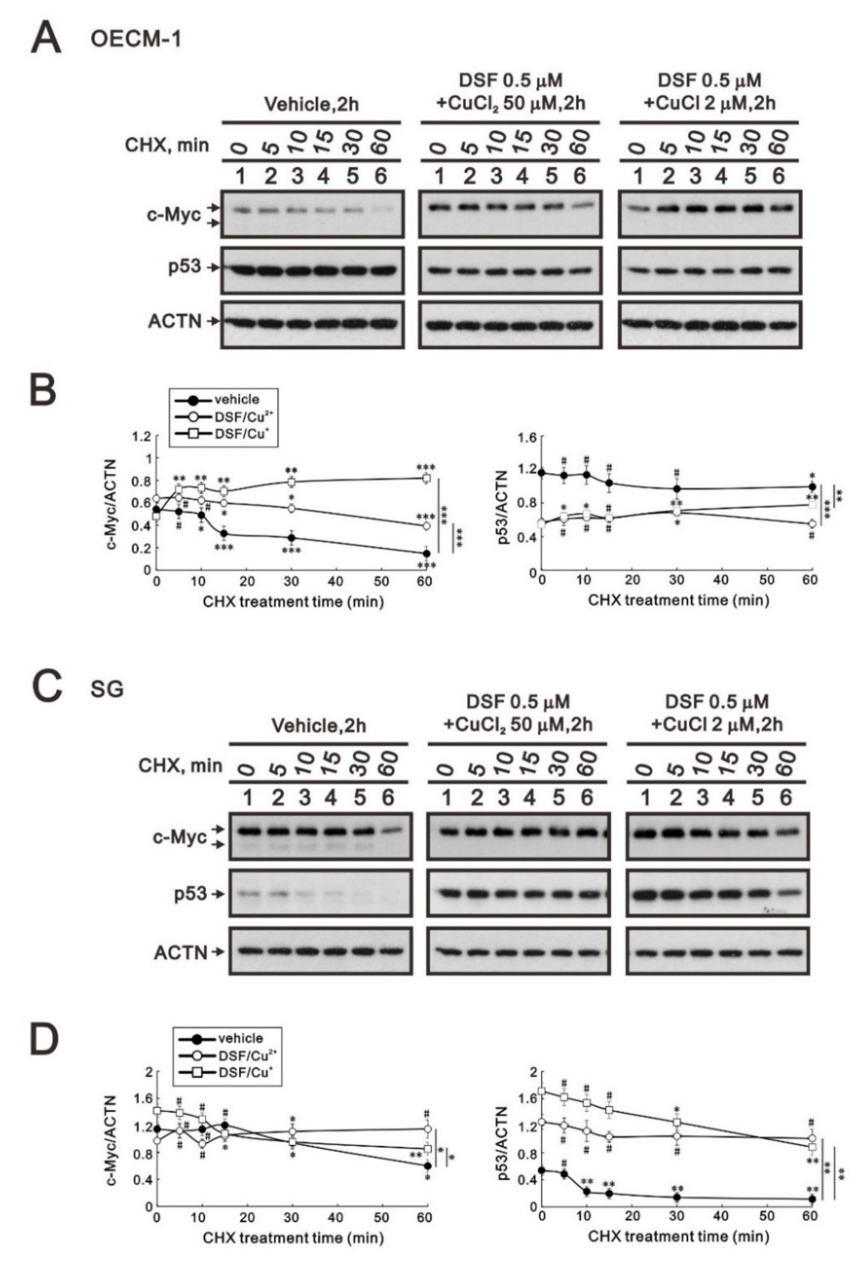 Ijms 23 09137 g003 Ijms 23 09137 g003