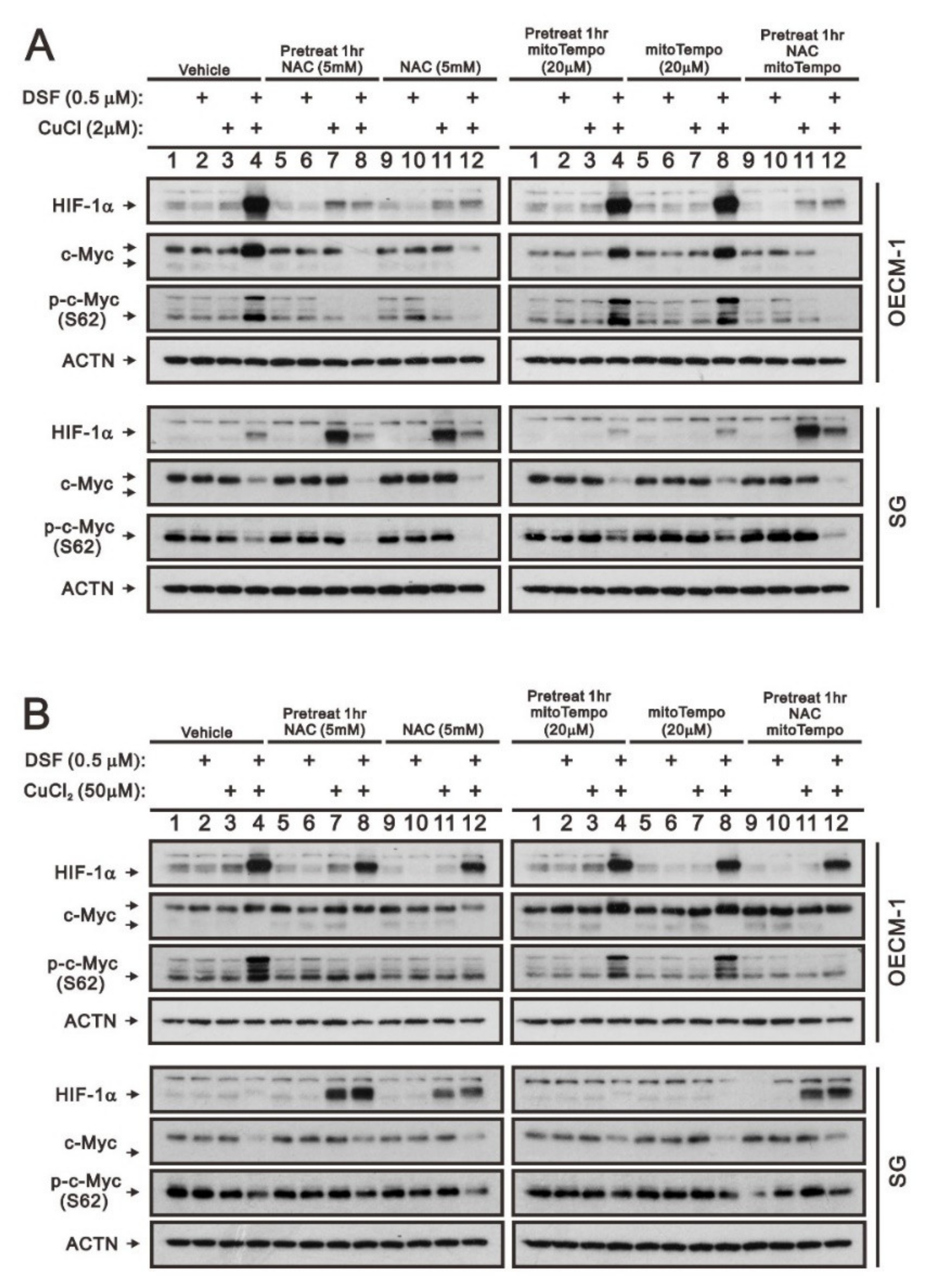 Ijms 23 09137 g004 Ijms 23 09137 g004