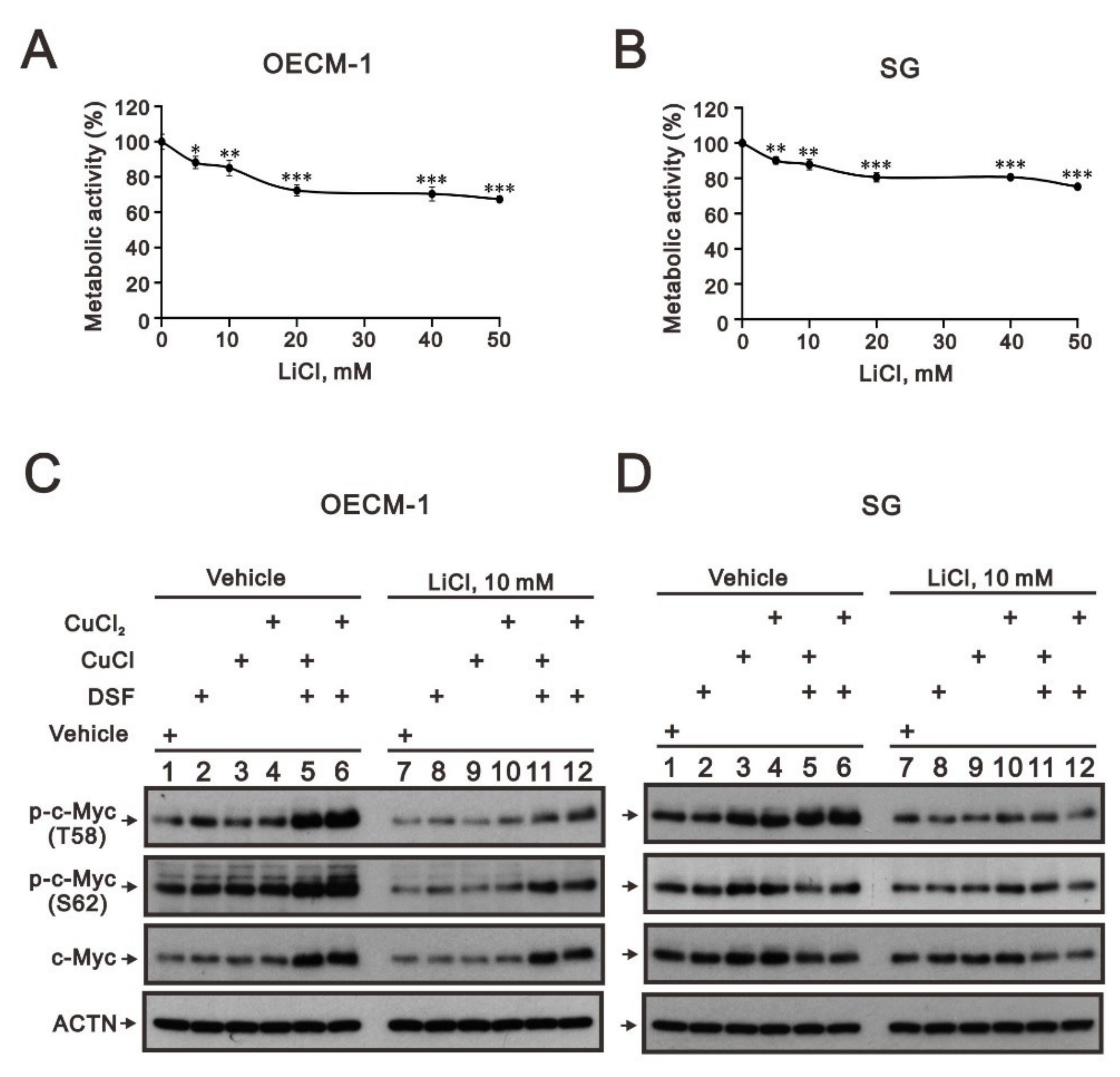 Ijms 23 09137 g005 Ijms 23 09137 g005