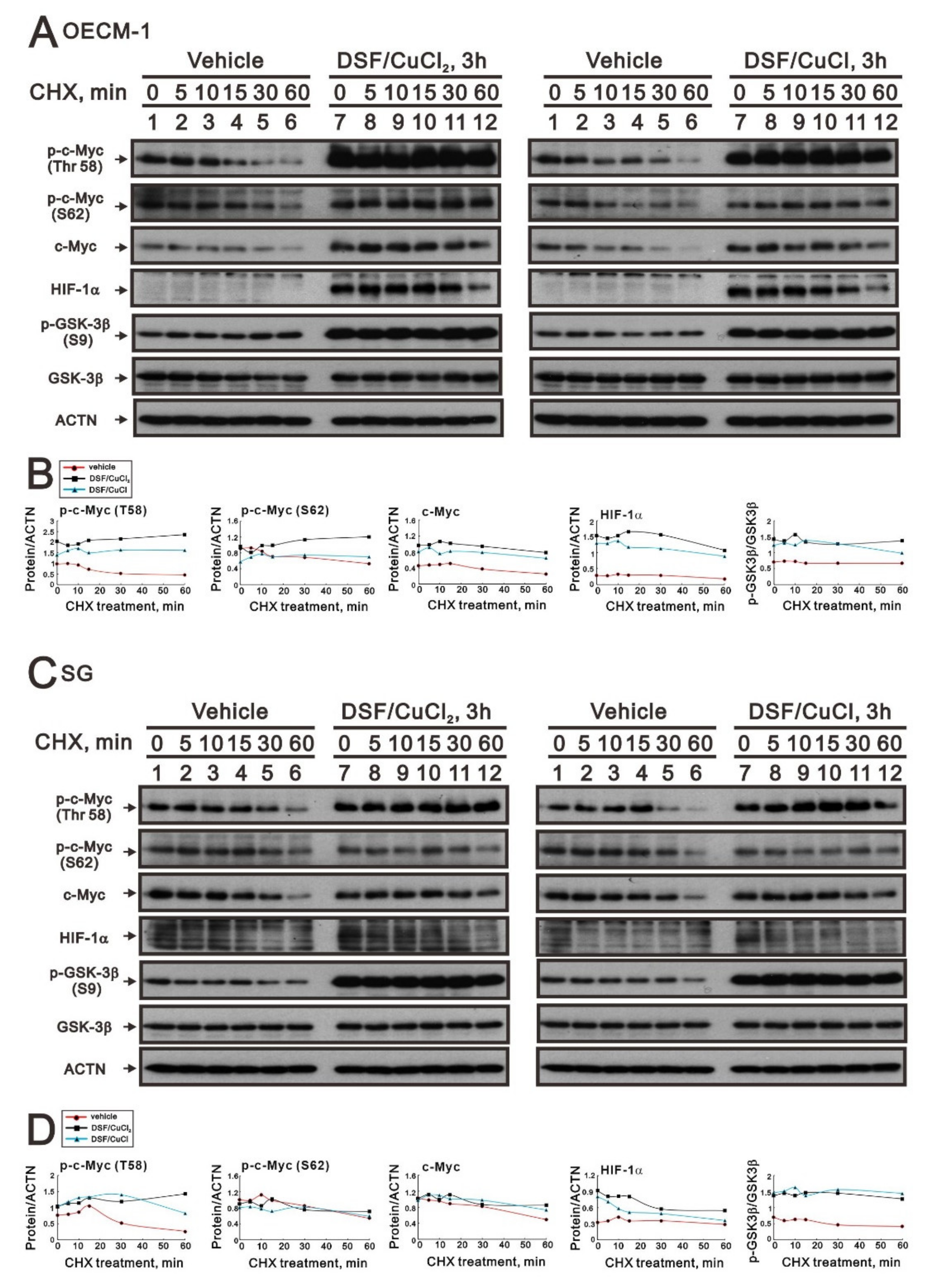 Ijms 23 09137 g007 Ijms 23 09137 g007