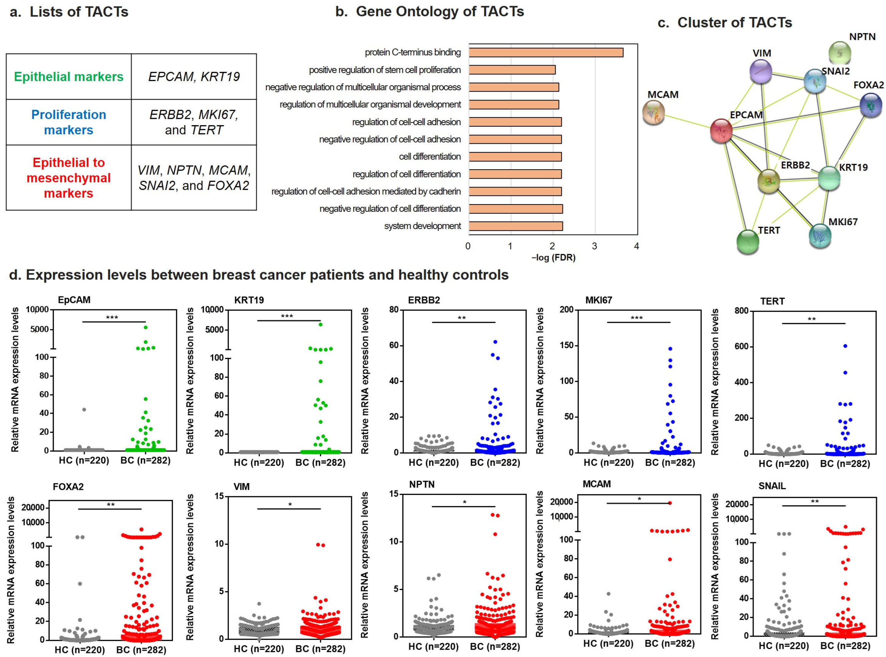 Ijms 23 09140 g002 550