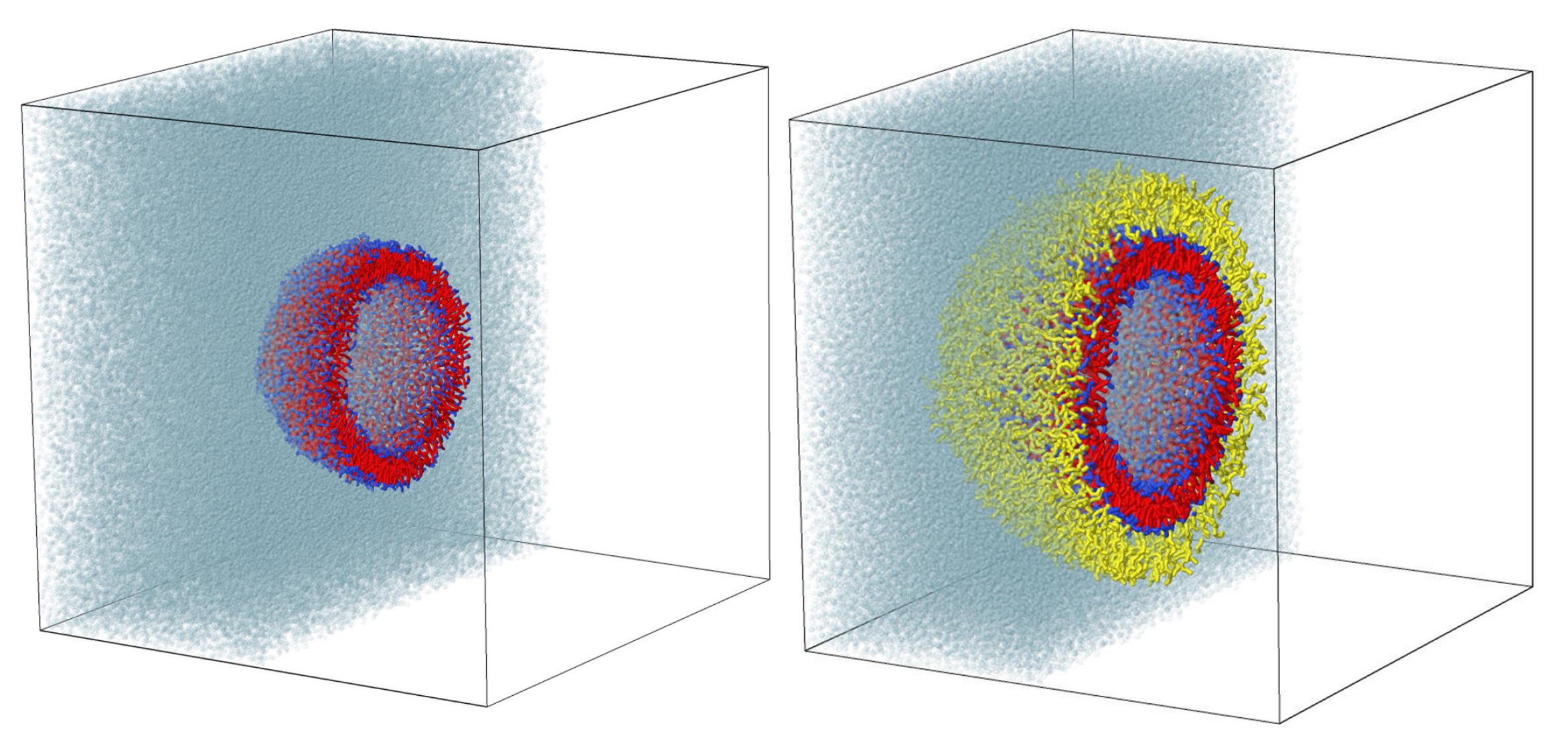 Ijms 23 09142 g001 550