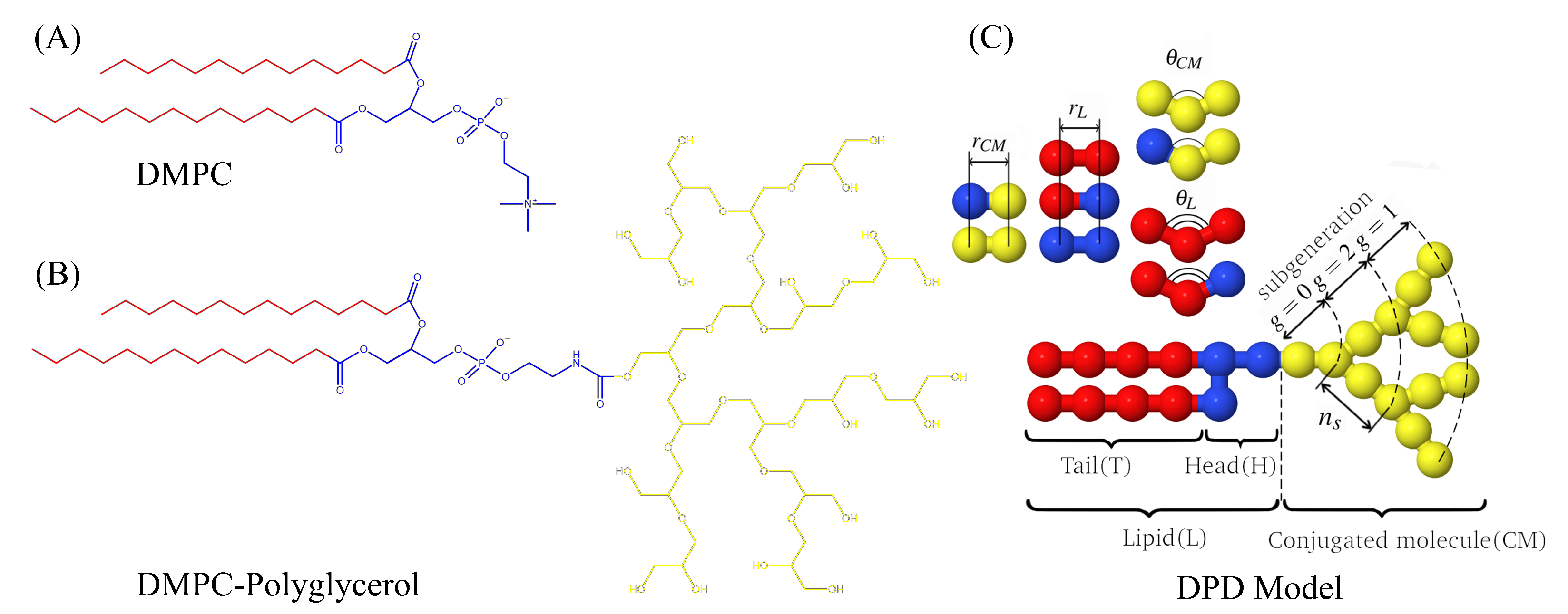 Ijms 23 09142 g011 550
