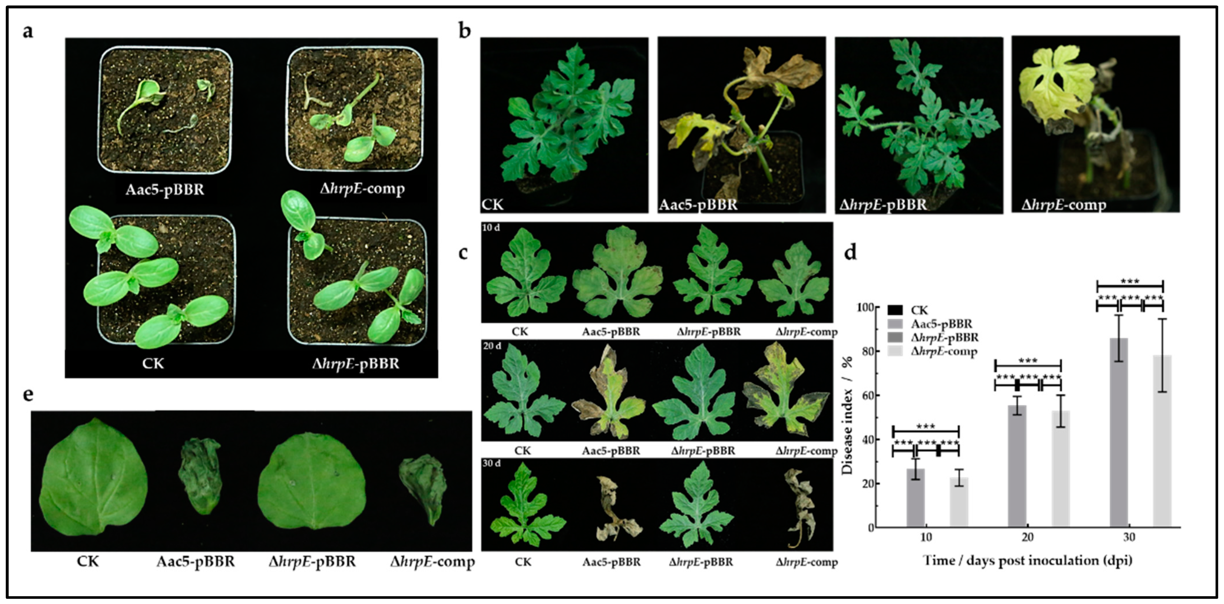 Ijms 23 09144 g001 550