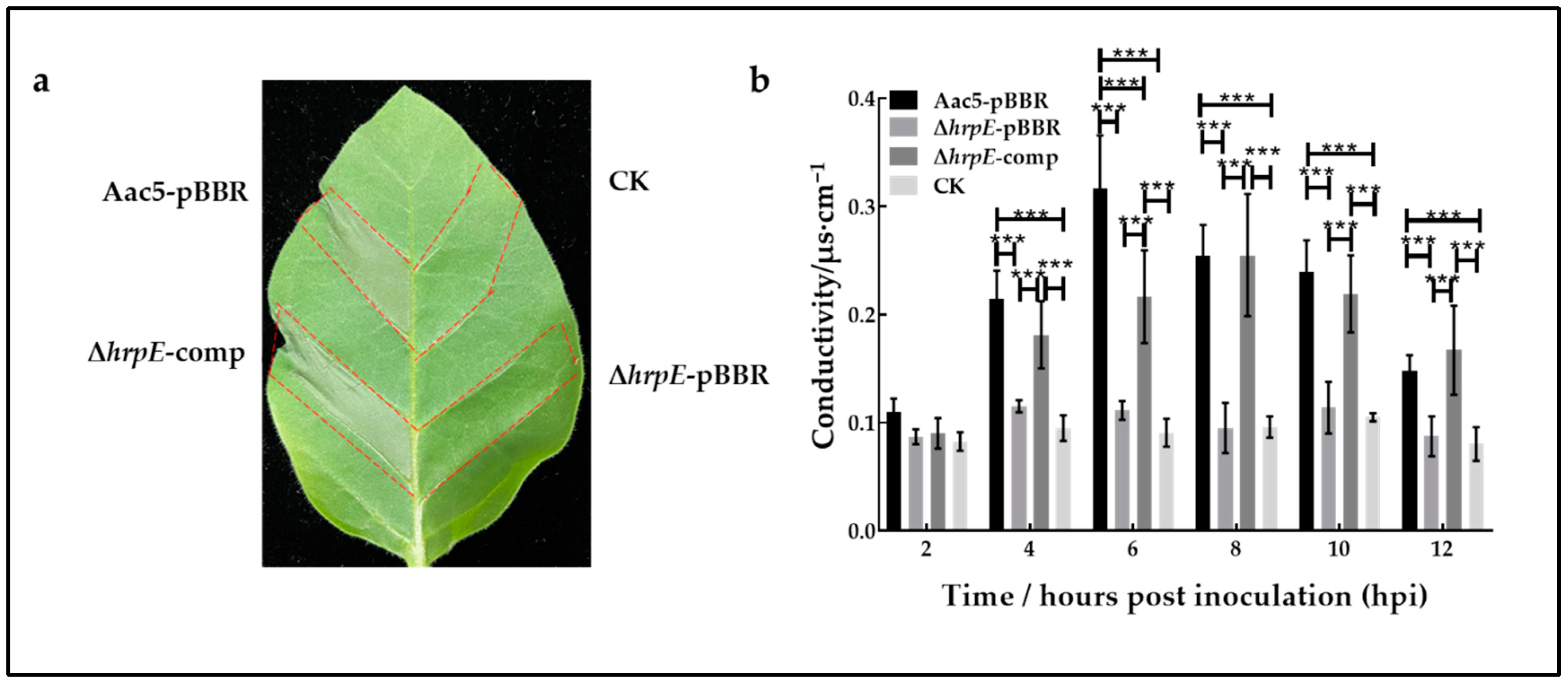Ijms 23 09144 g002 550