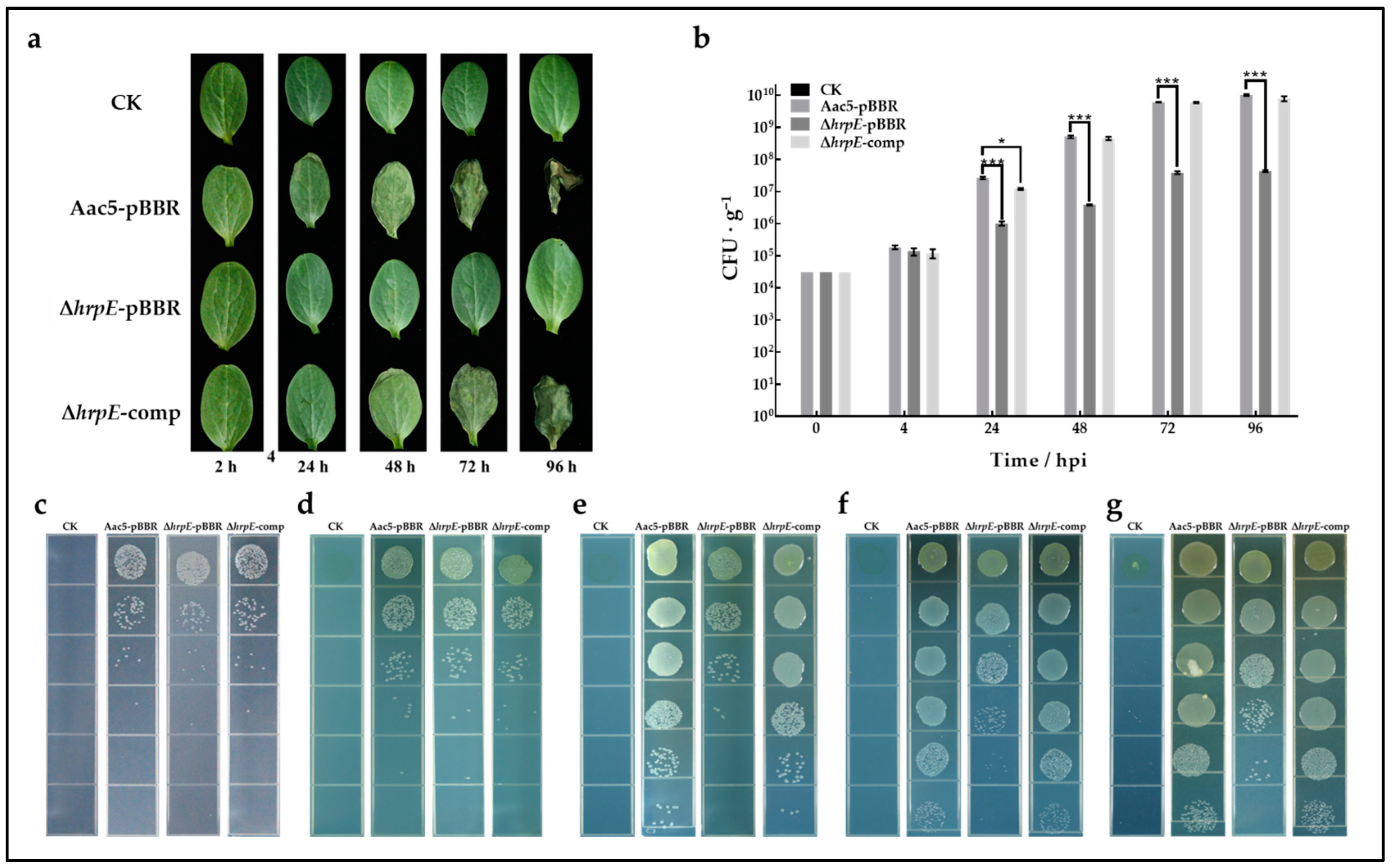 Ijms 23 09144 g004 550