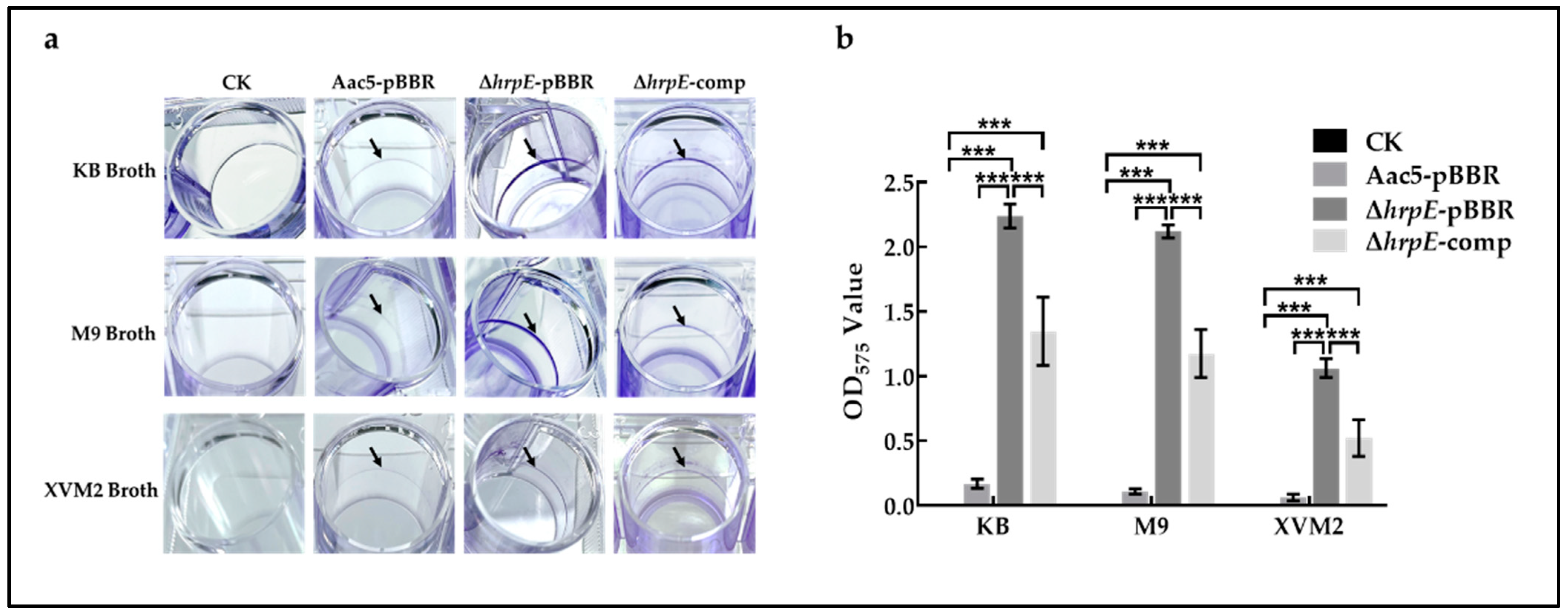 Ijms 23 09144 g005 550