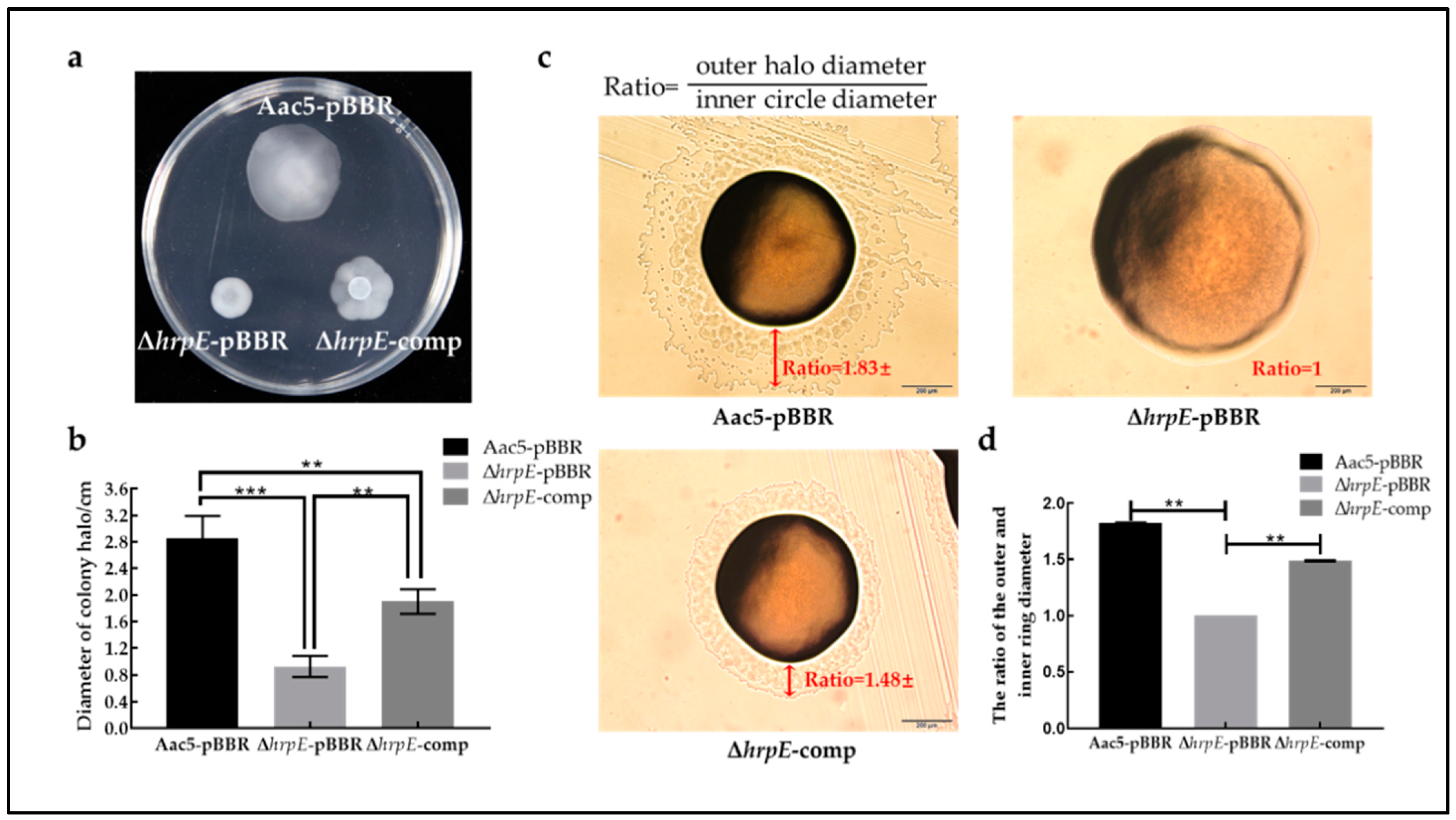 Ijms 23 09144 g006 550