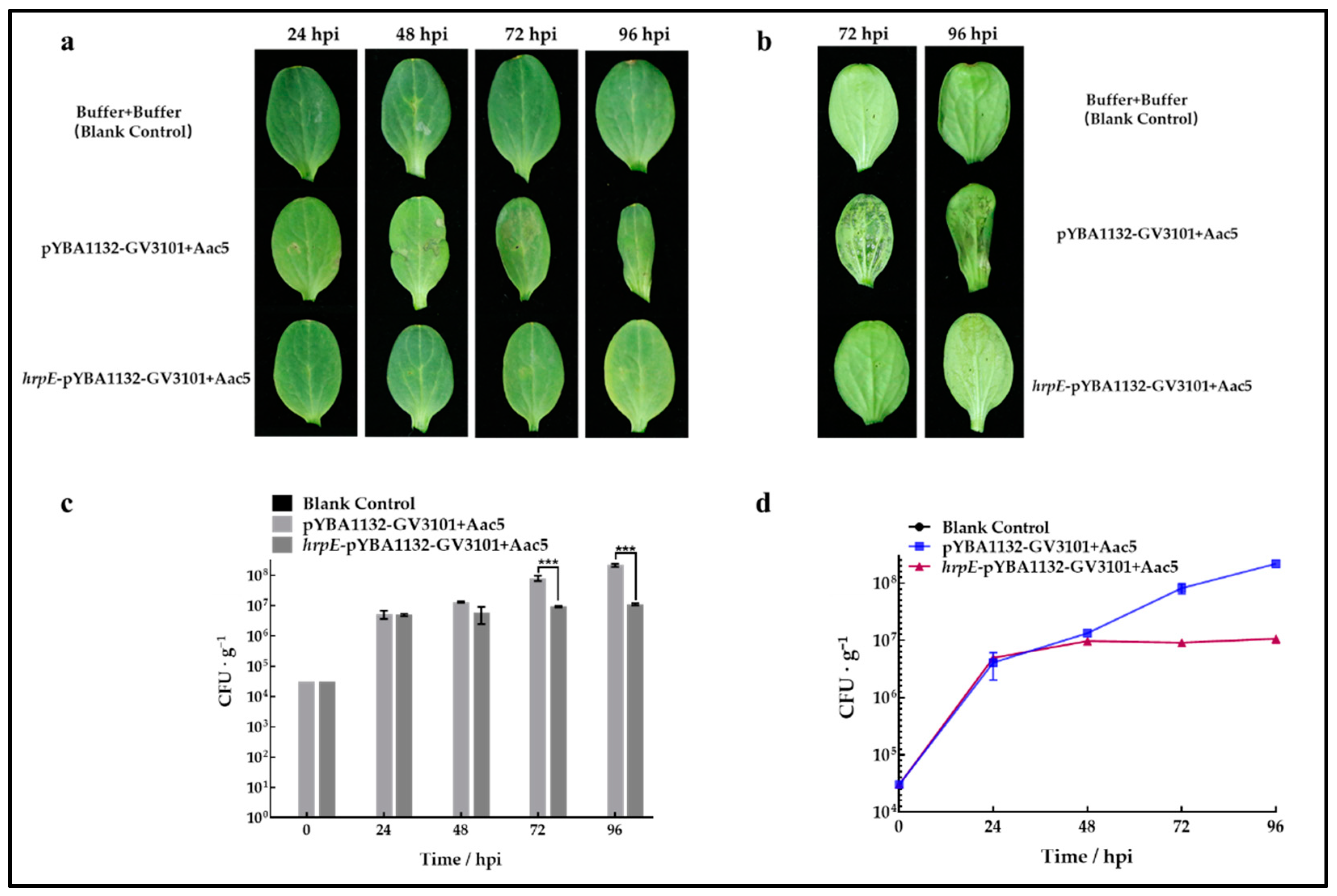 Ijms 23 09144 g008 550