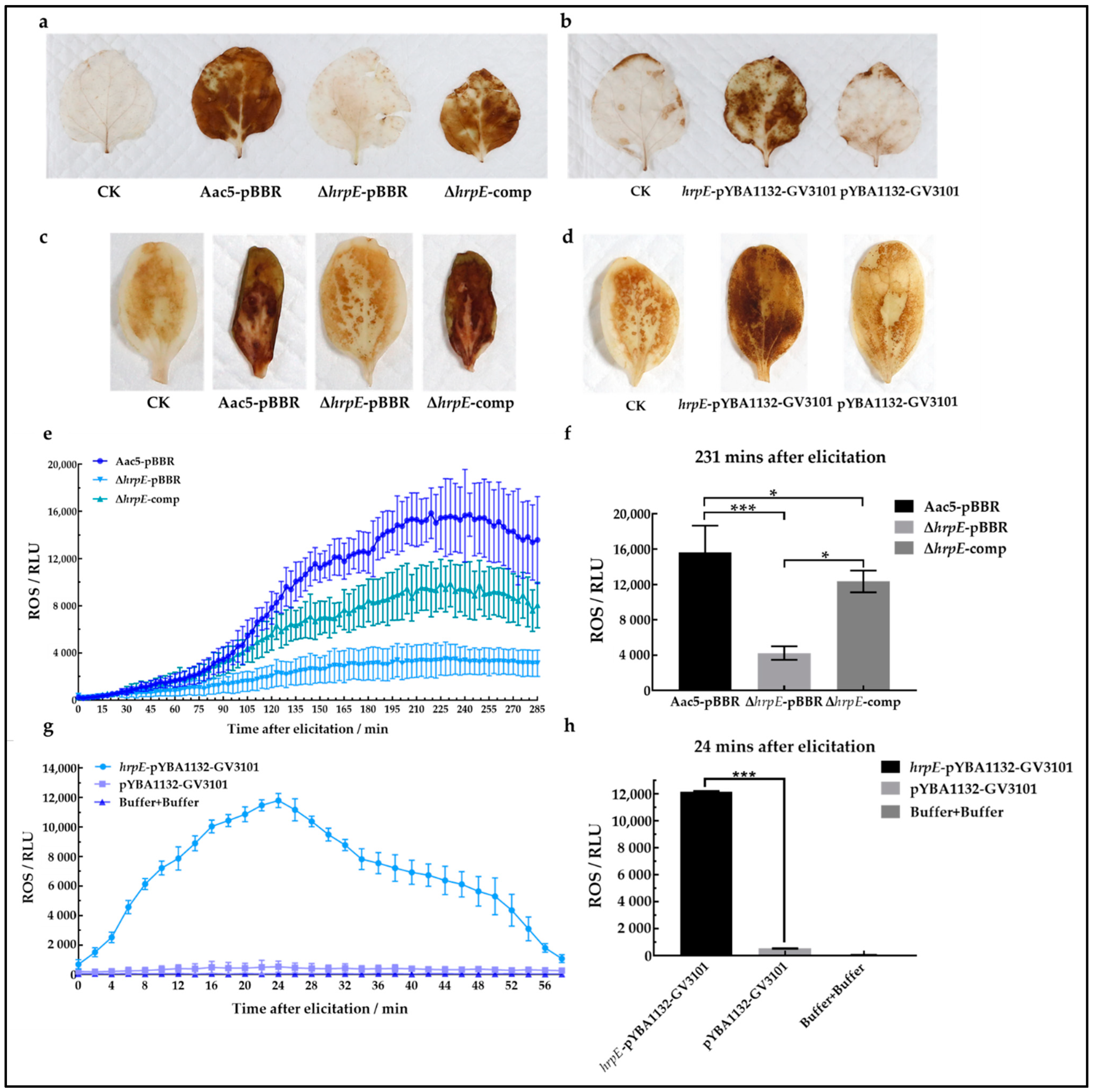 Ijms 23 09144 g010 550