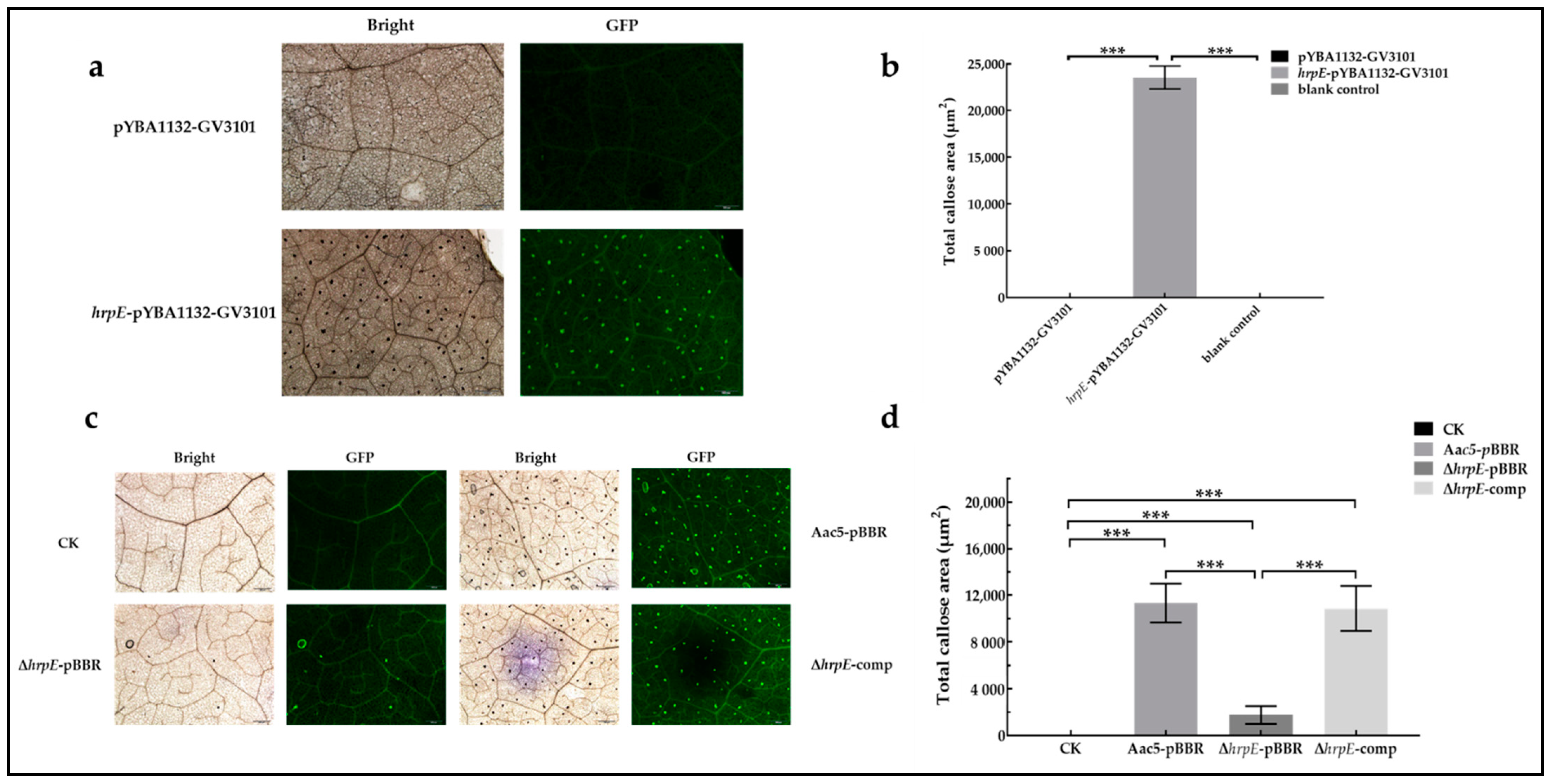 Ijms 23 09144 g011 550