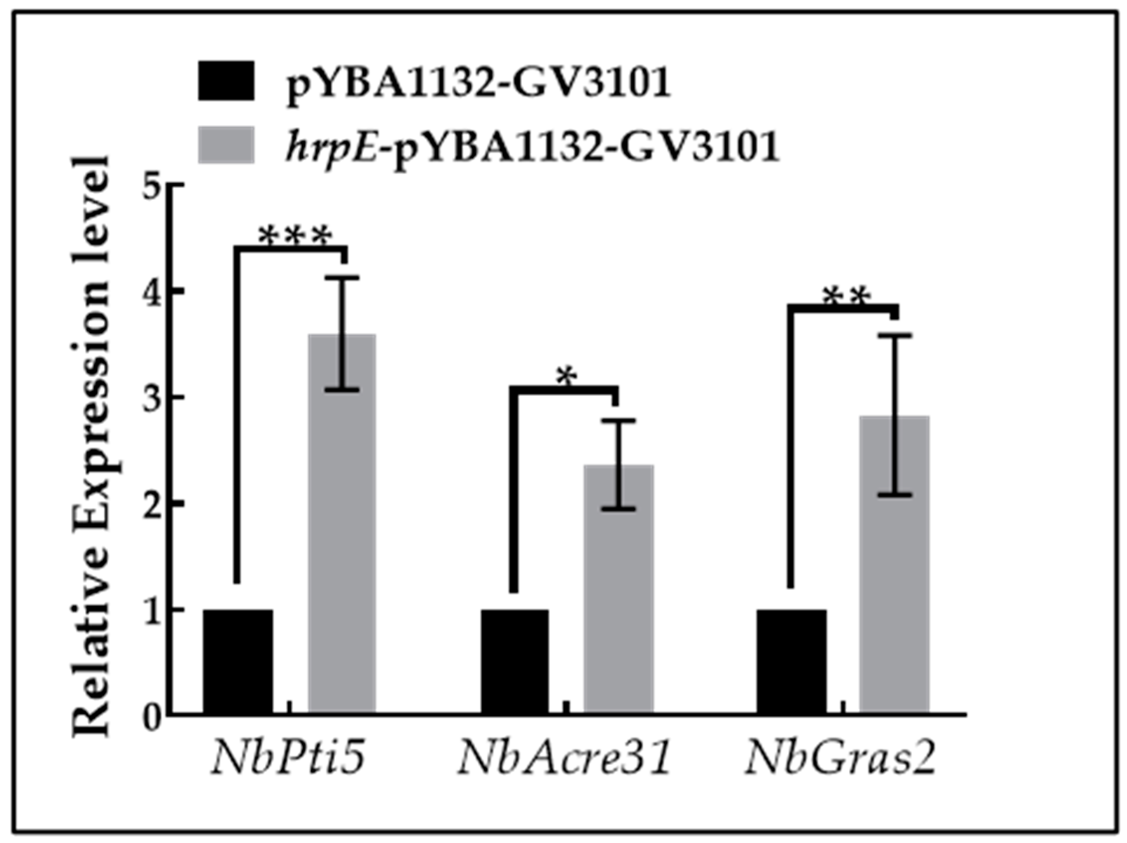 Ijms 23 09144 g012 550