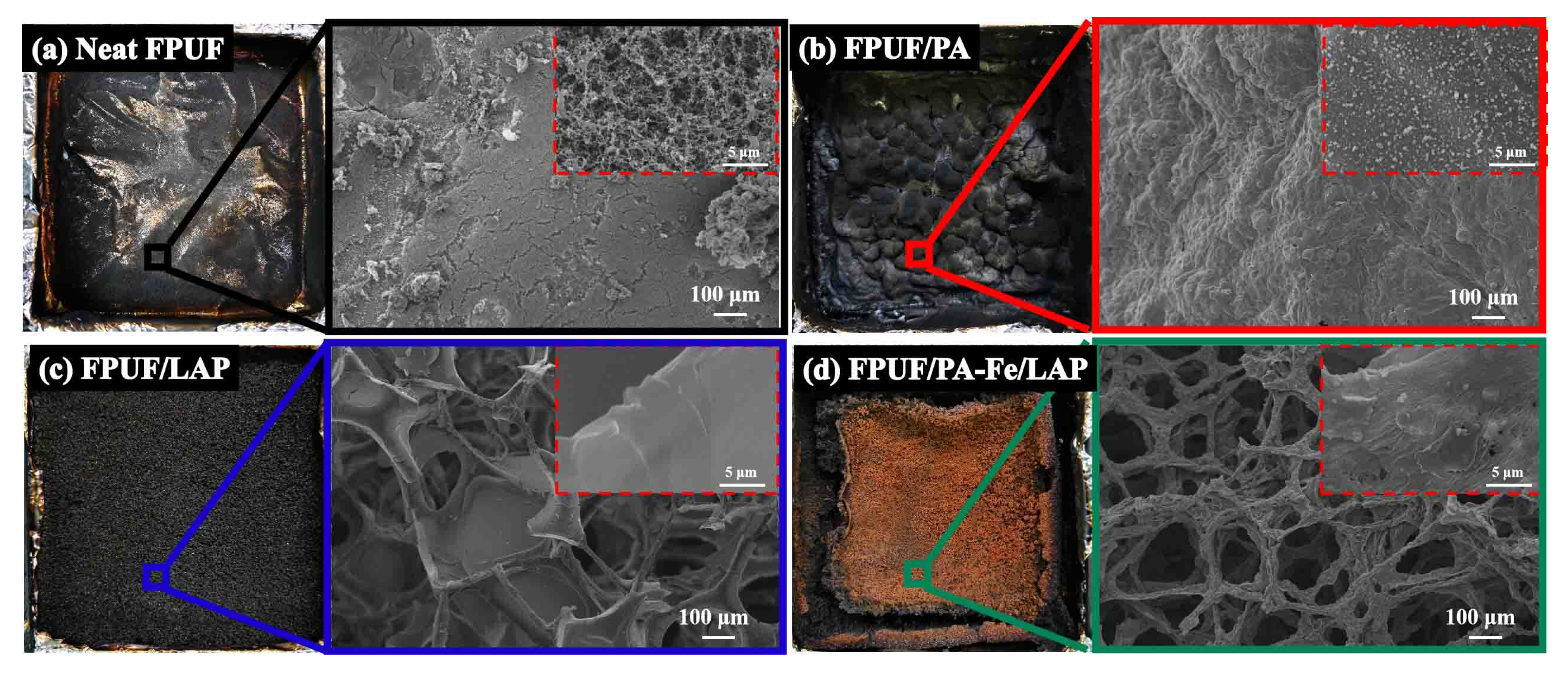 Ijms 23 09145 g008 550