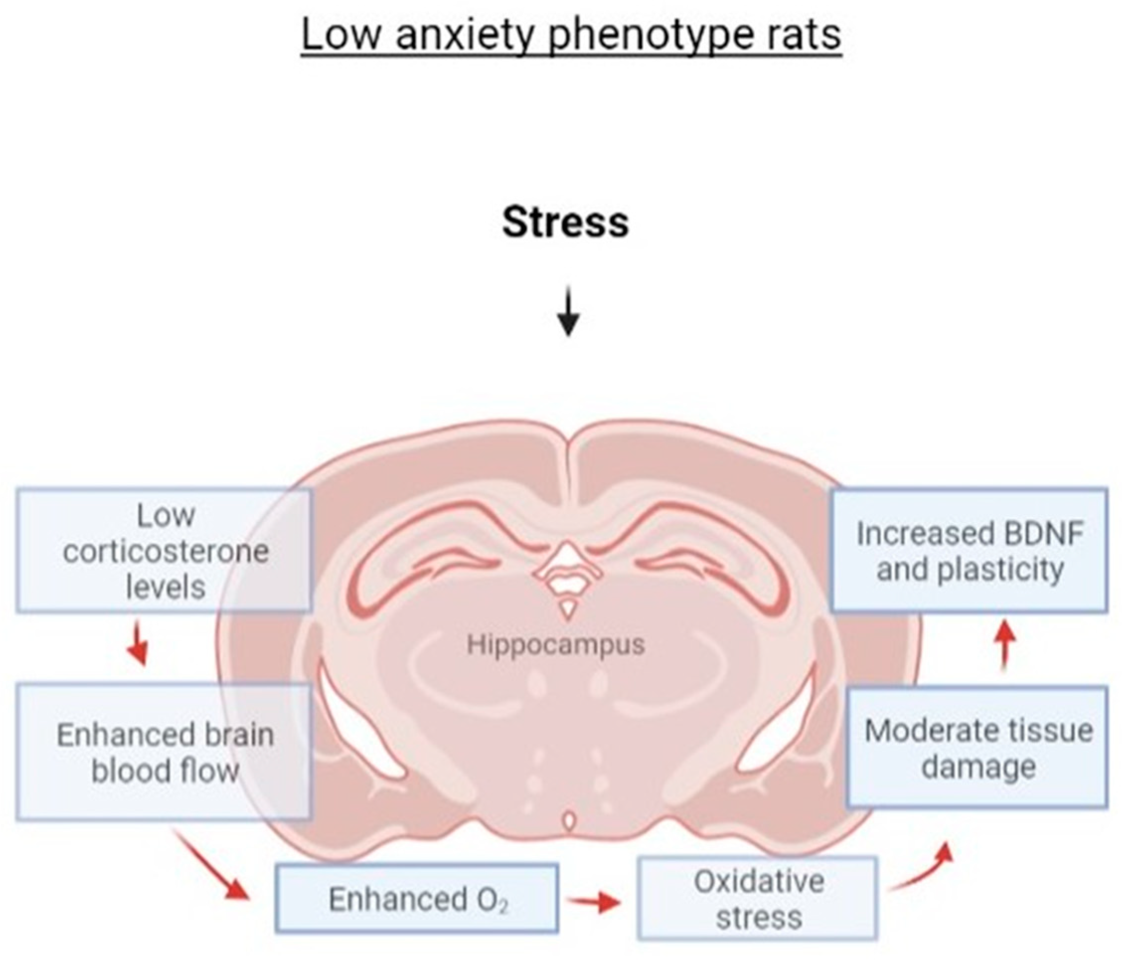 Ijms 23 09151 g012 550