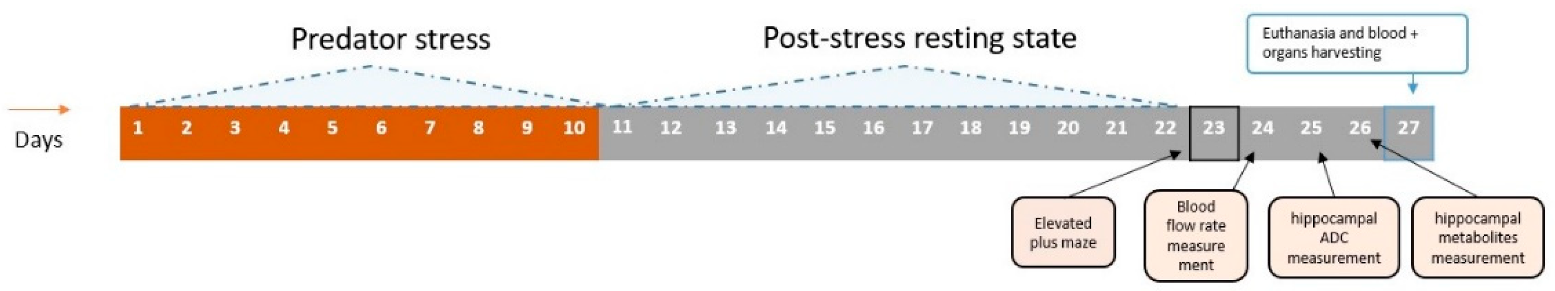 Ijms 23 09151 g013 550