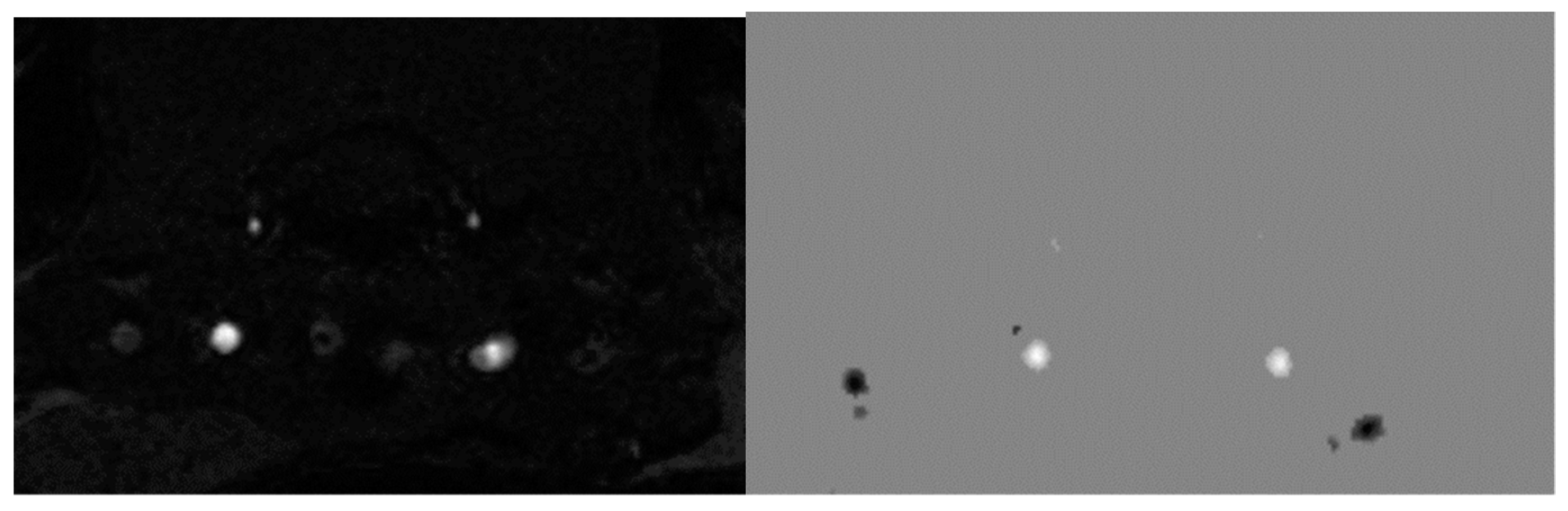 Ijms 23 09151 g015 550