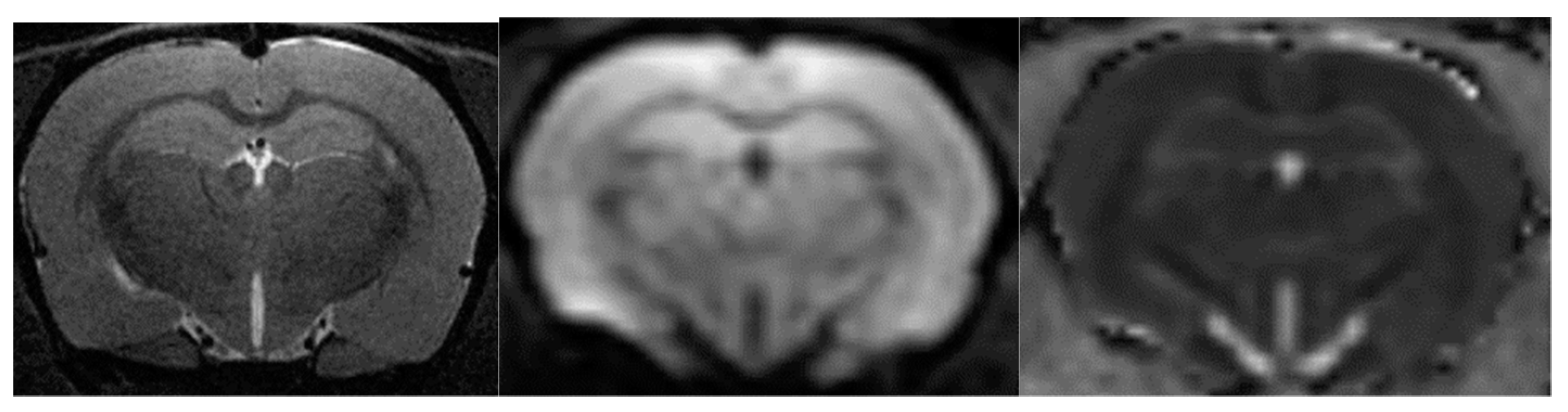 Ijms 23 09151 g016 550