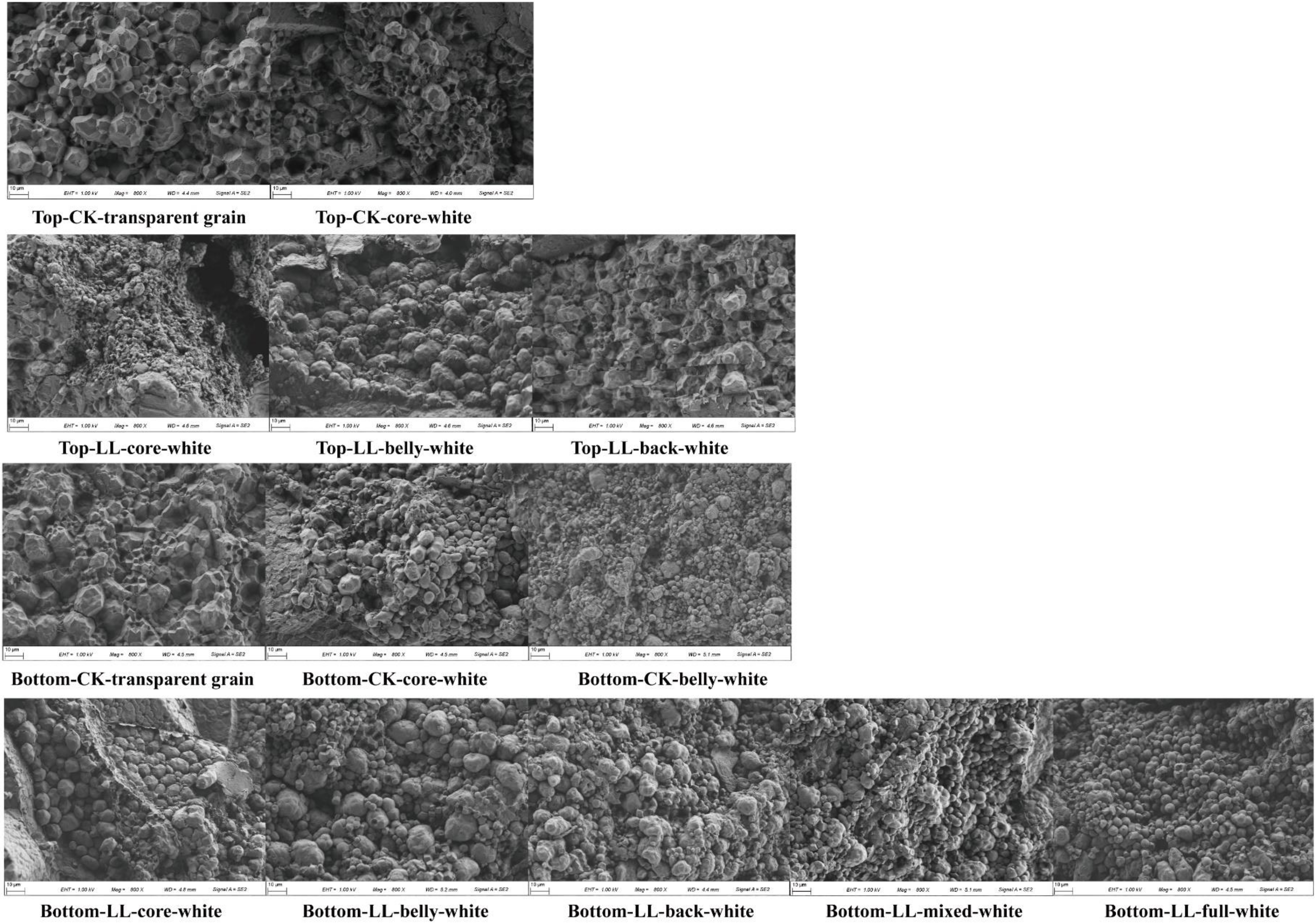 Ijms 23 09153 g002 550