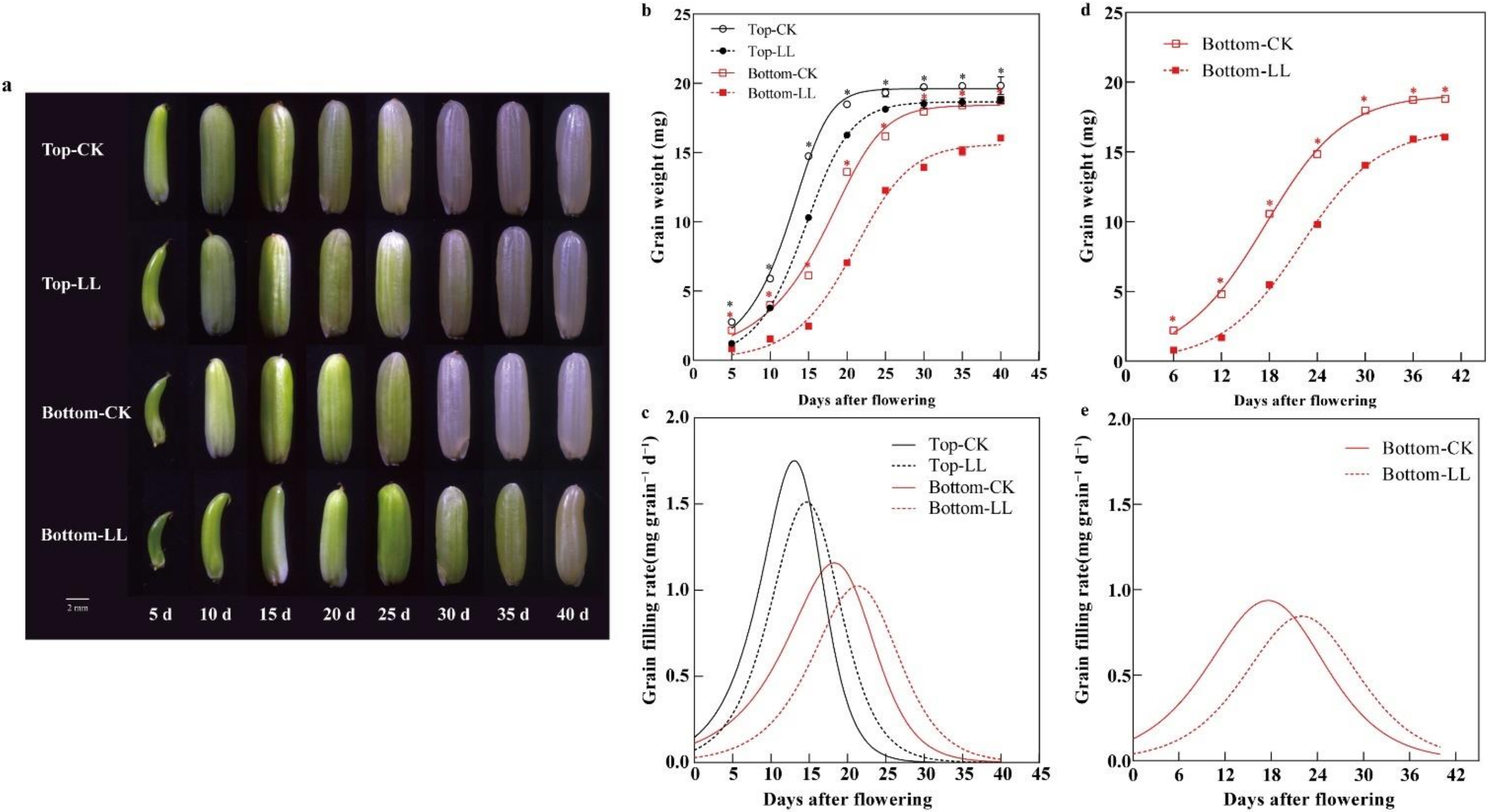Ijms 23 09153 g004 550