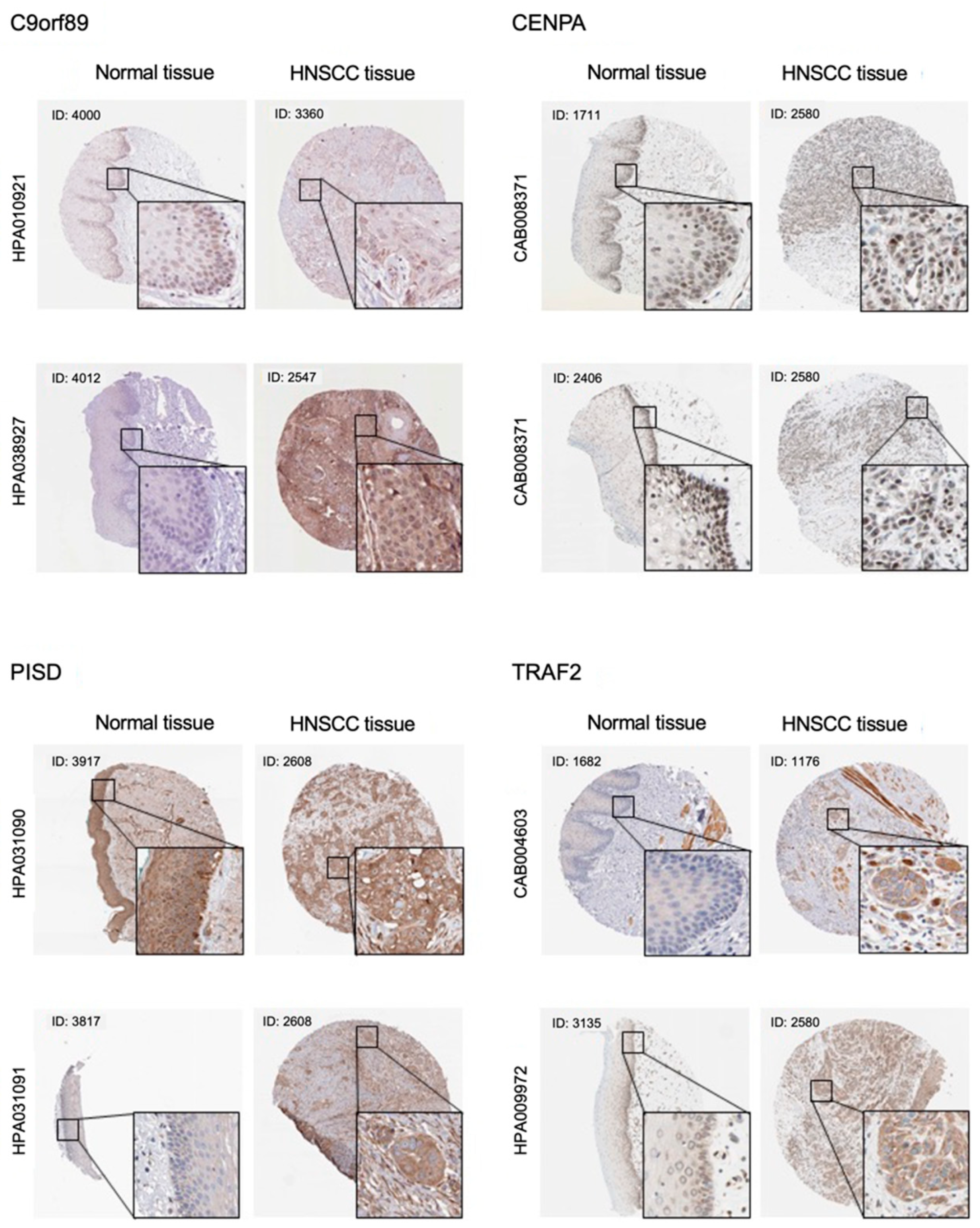 Ijms 23 09154 g007 550