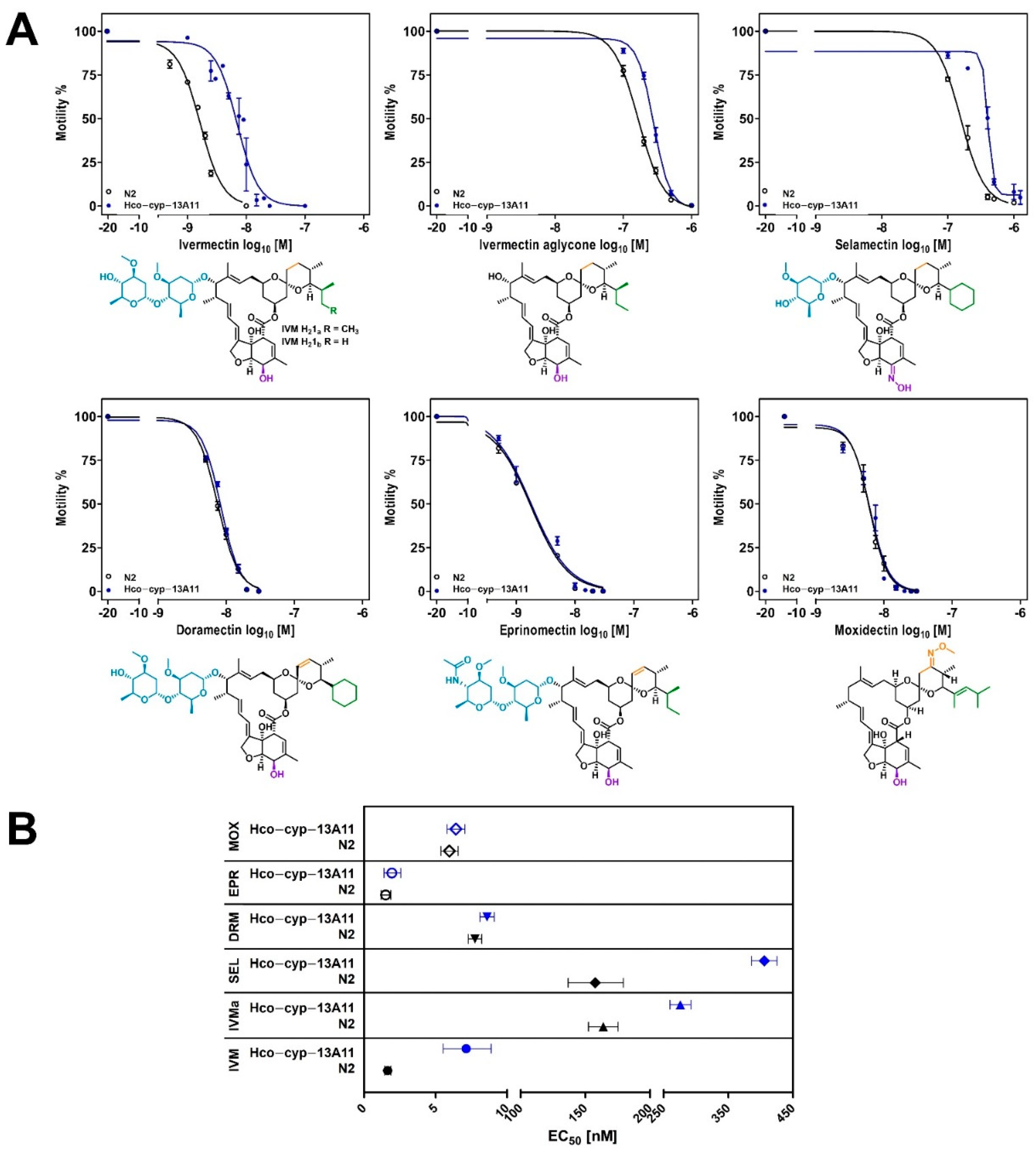 Ijms 23 09155 g002 Ijms 23 09155 g002