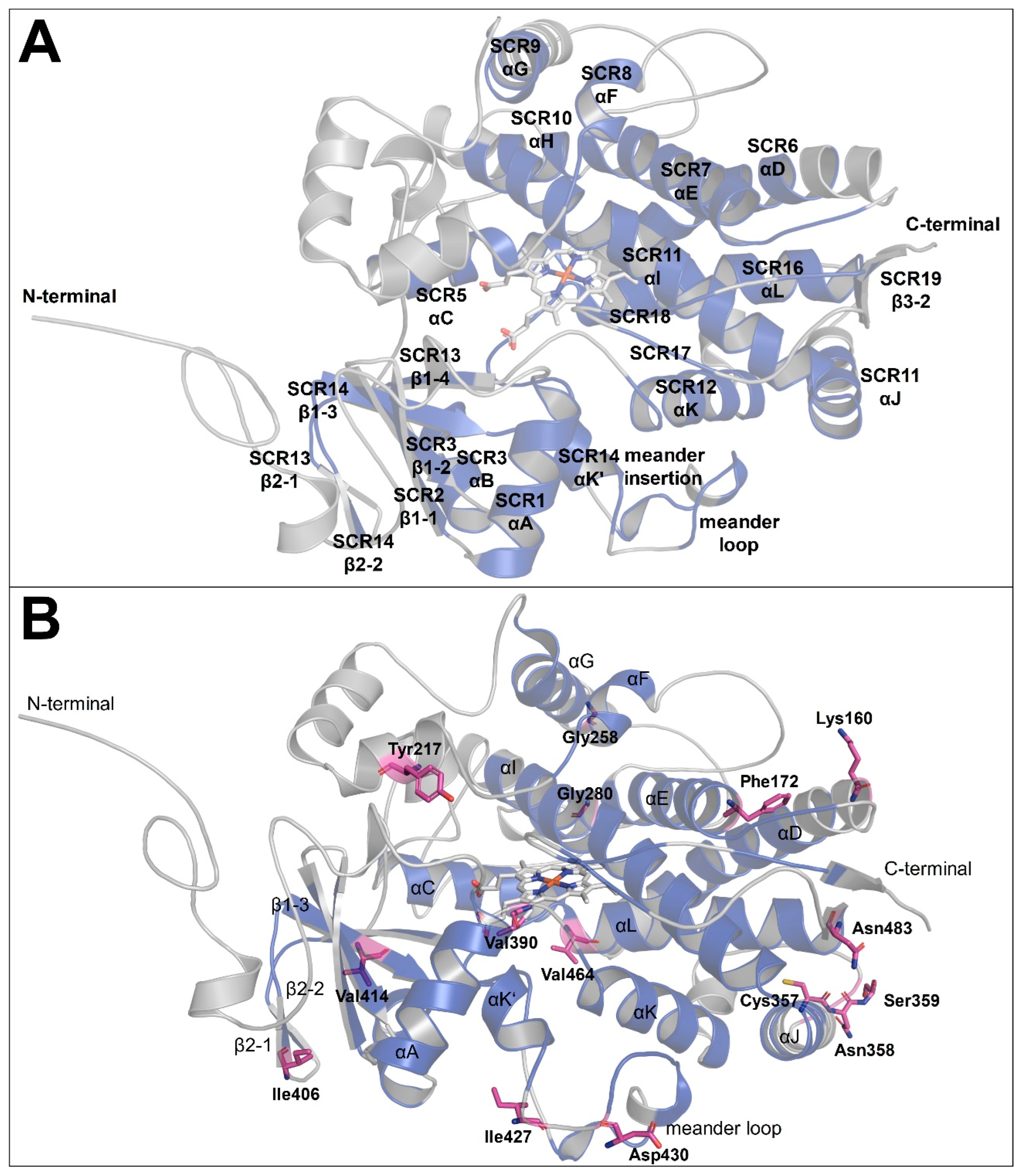 Ijms 23 09155 g004 Ijms 23 09155 g004