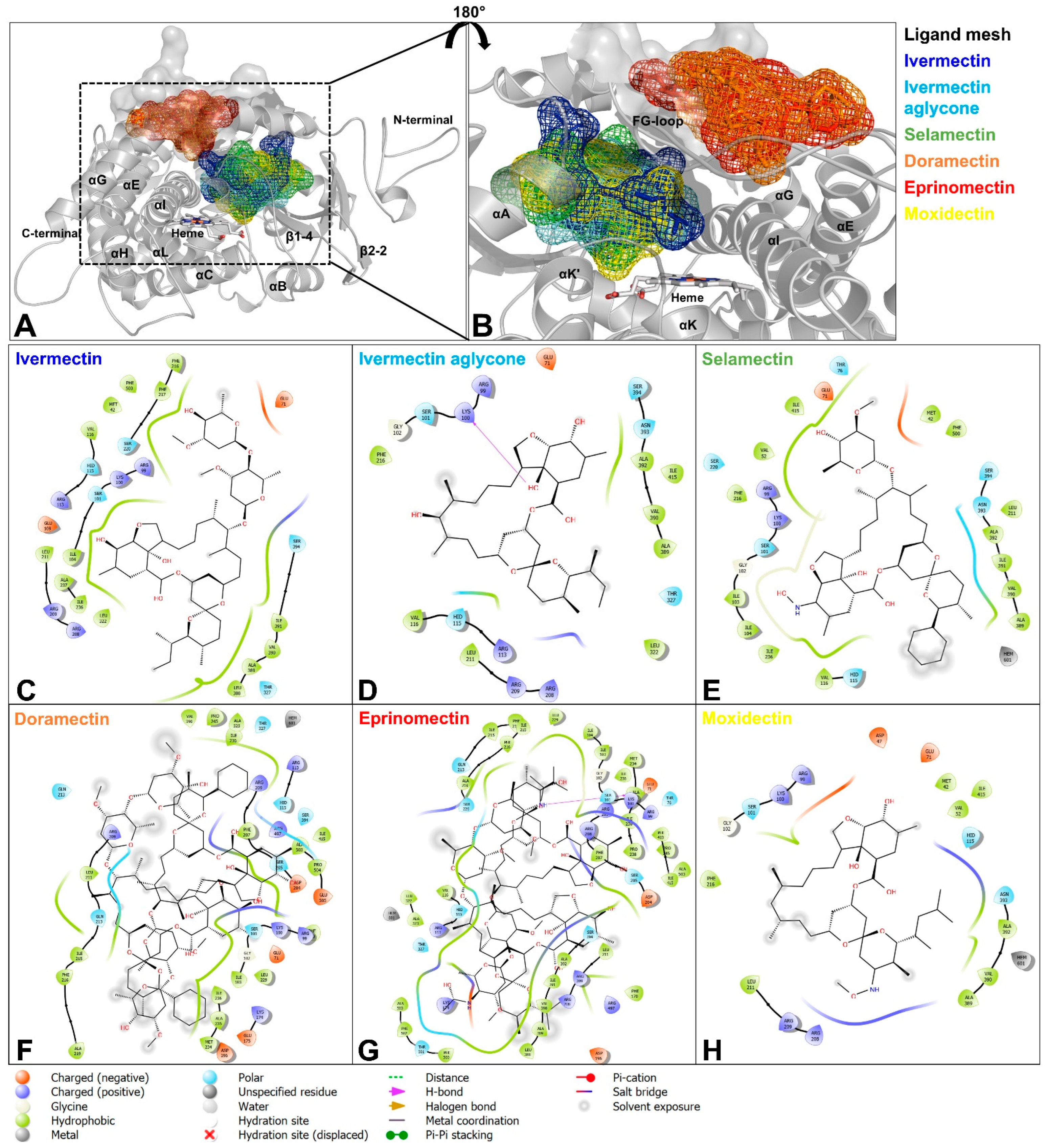 Ijms 23 09155 g006 Ijms 23 09155 g006