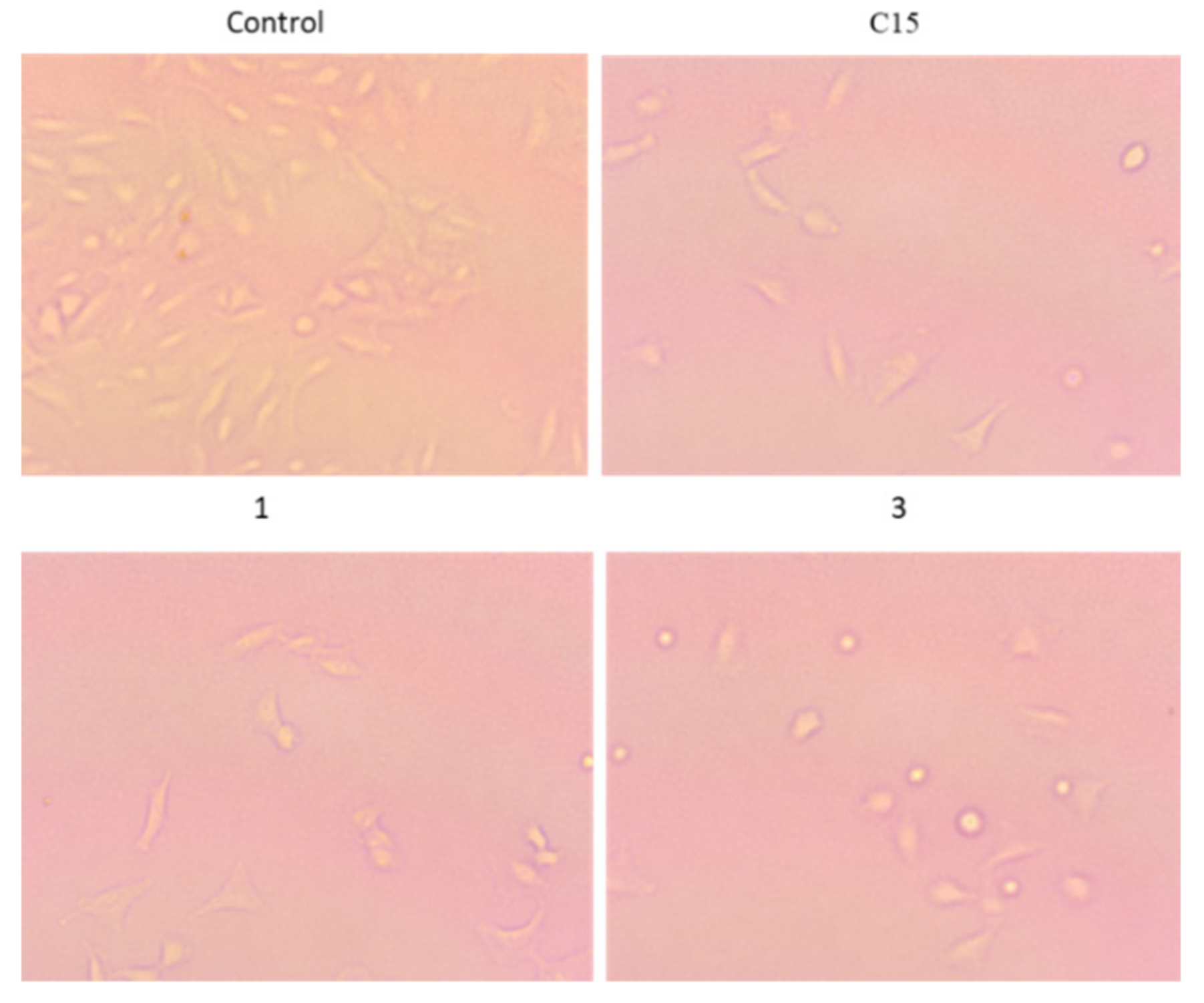 Ijms 23 09162 g010 550