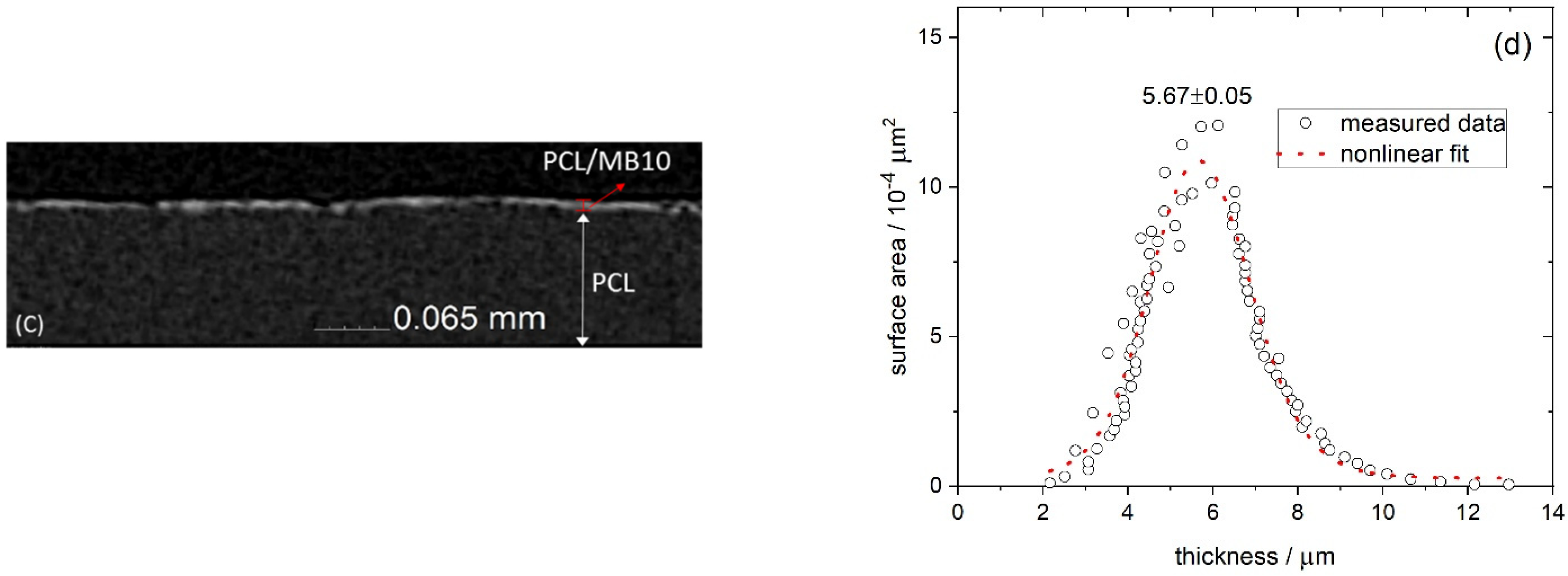 Ijms 23 09166 g001b 550
