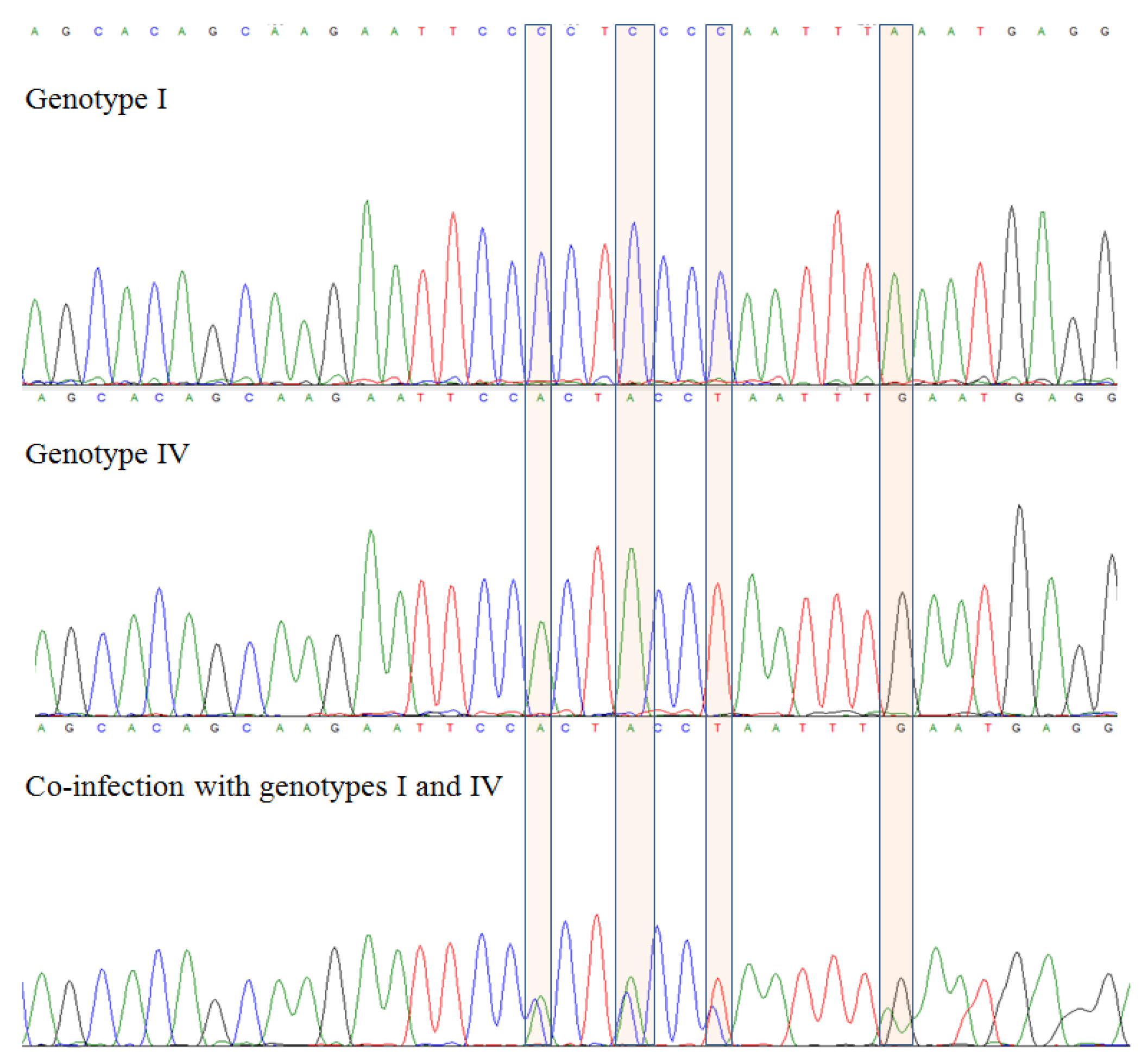 Ijms 23 09173 g001 Ijms 23 09173 g001