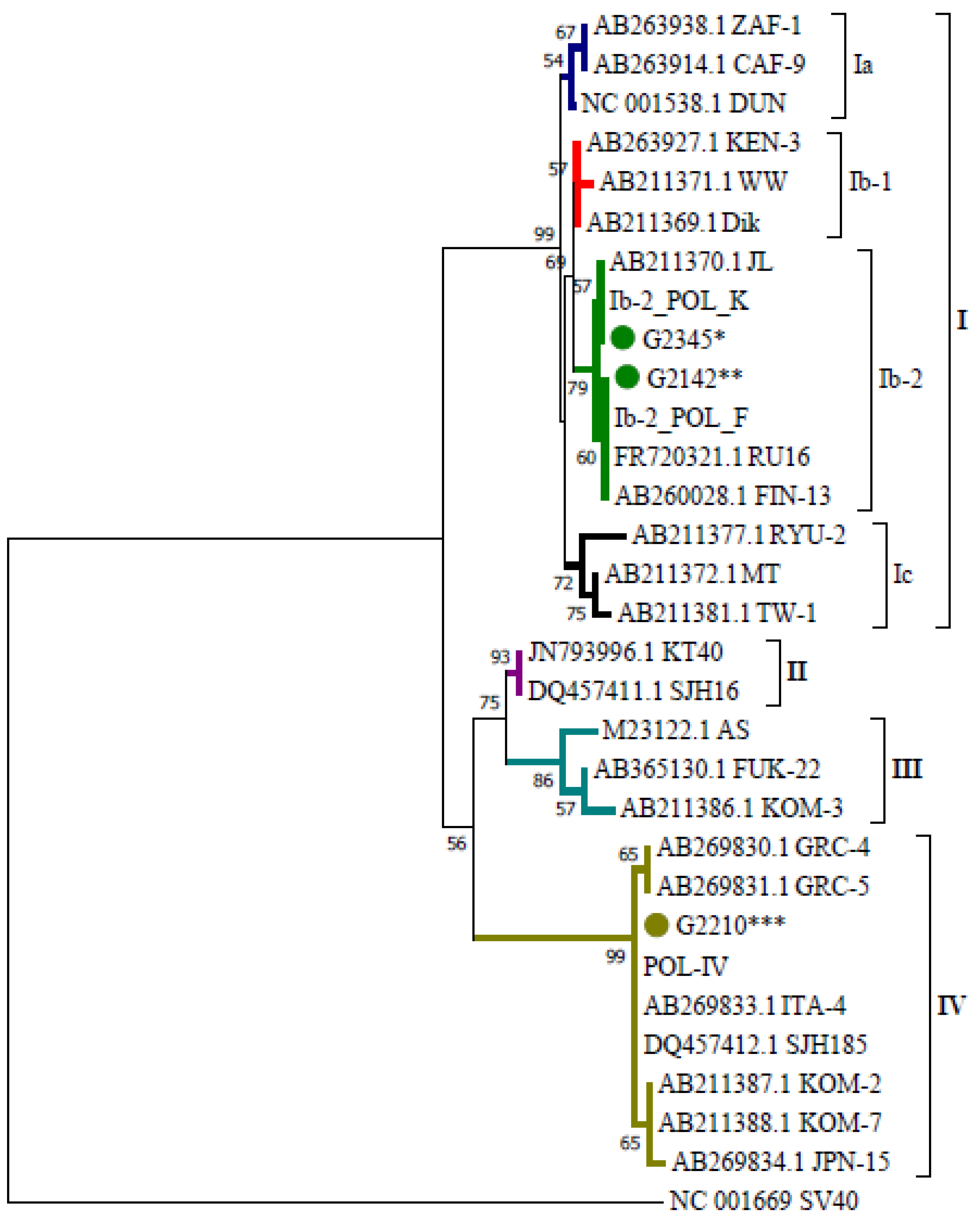 Ijms 23 09173 g002 Ijms 23 09173 g002