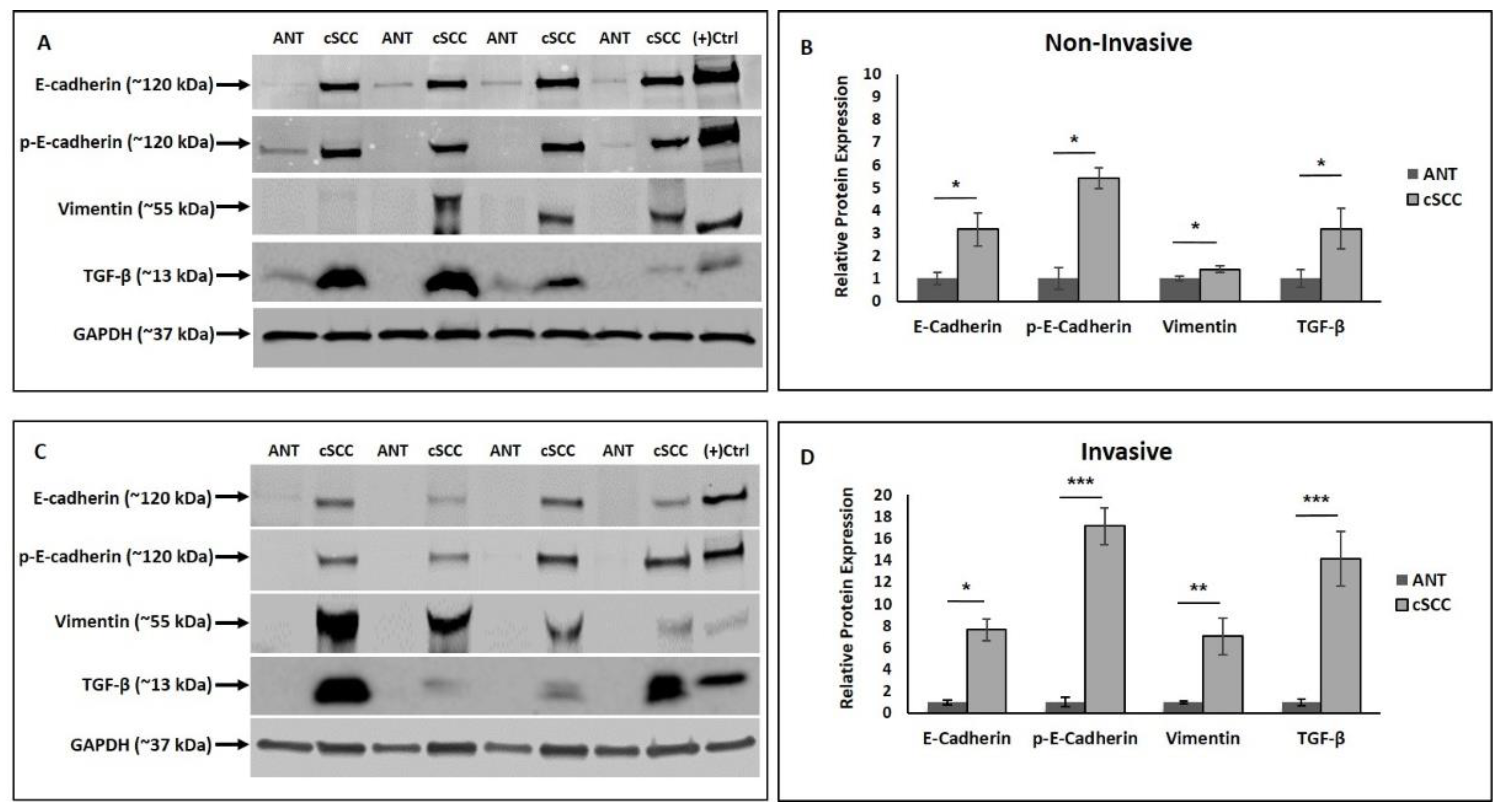 Ijms 23 09183 g003 Ijms 23 09183 g003