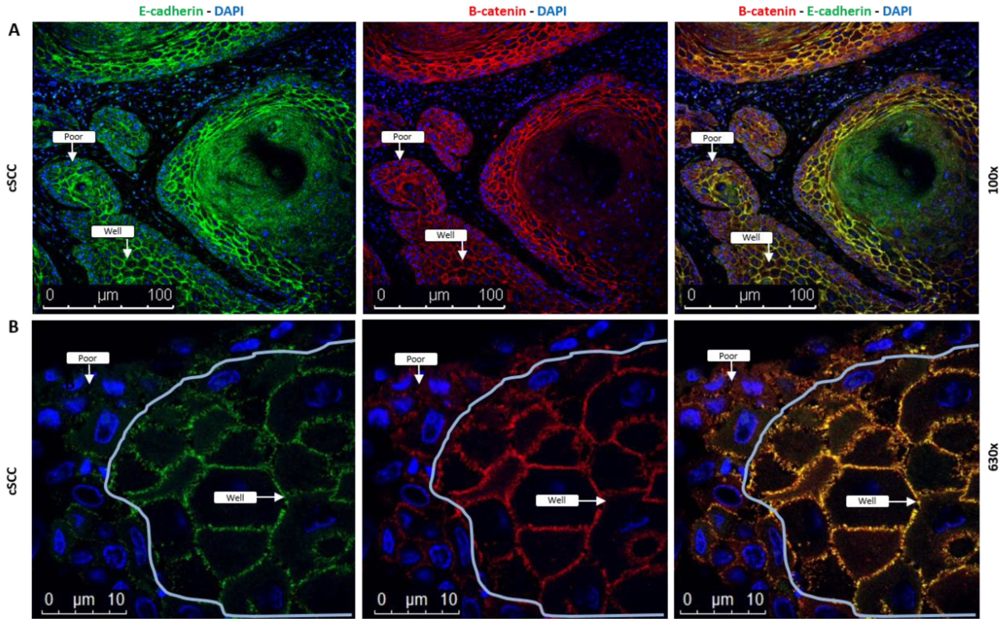 Ijms 23 09183 g005 Ijms 23 09183 g005