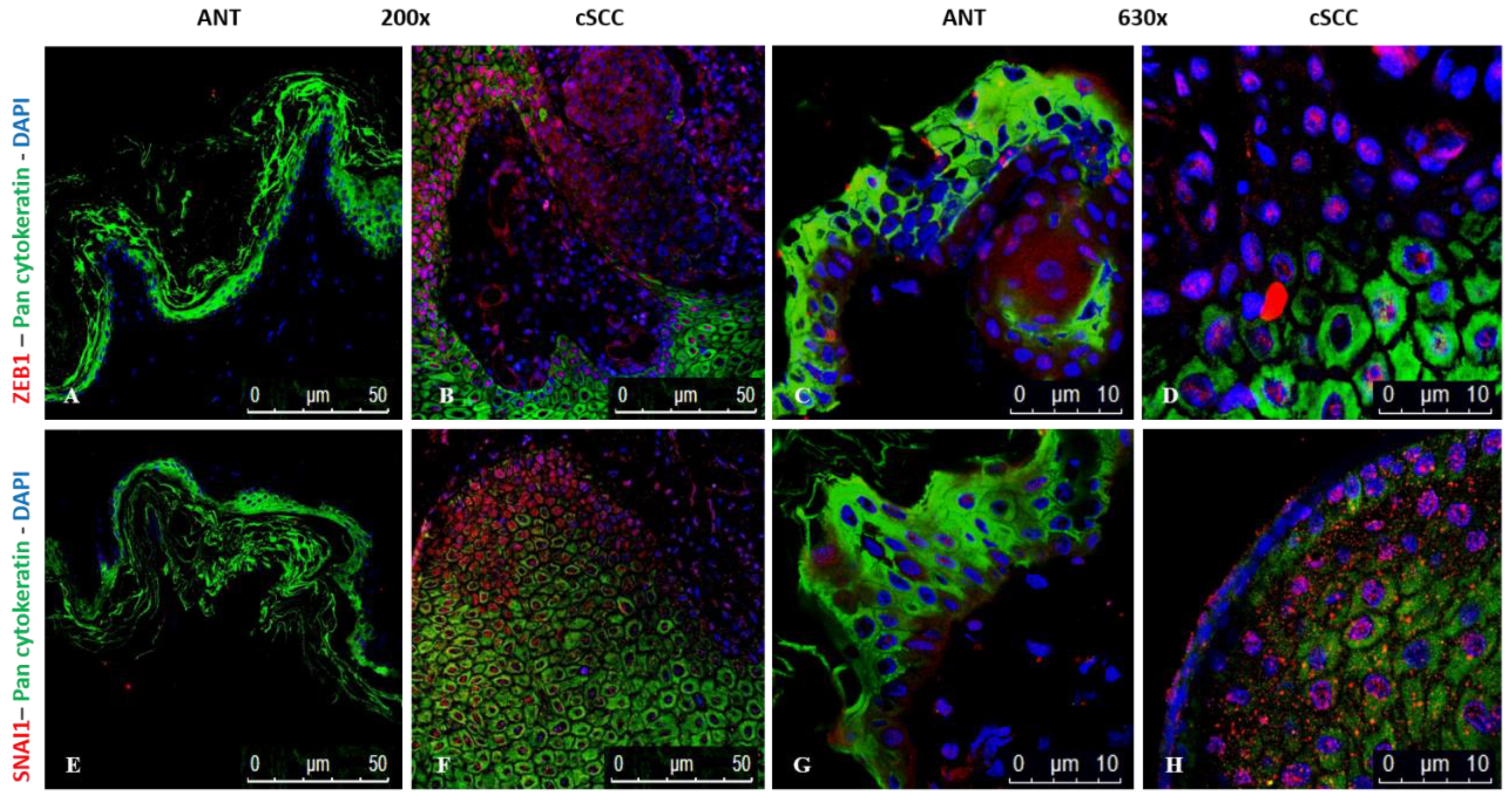 Ijms 23 09183 g007 Ijms 23 09183 g007