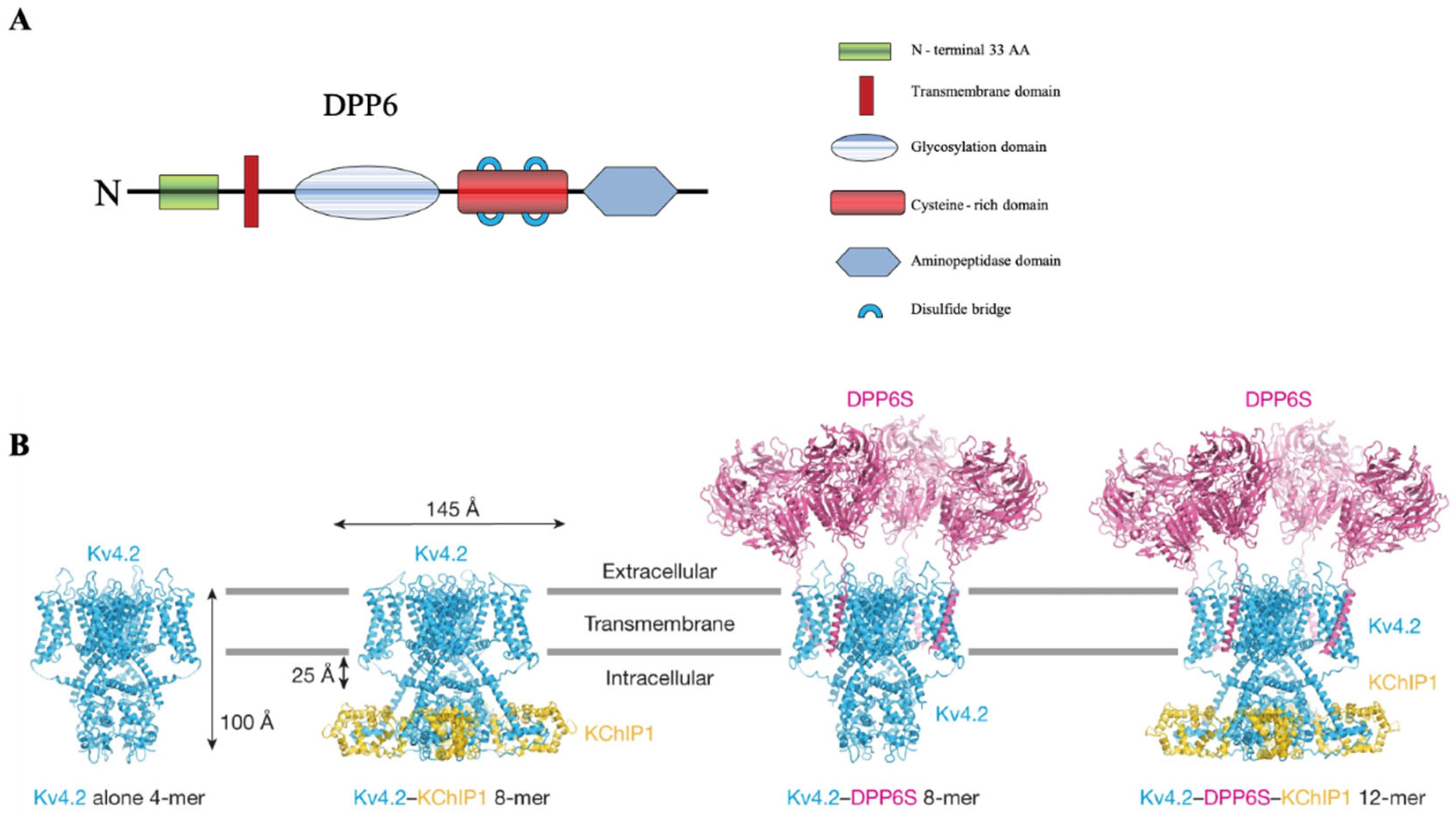 Ijms 23 09184 g001 Ijms 23 09184 g001