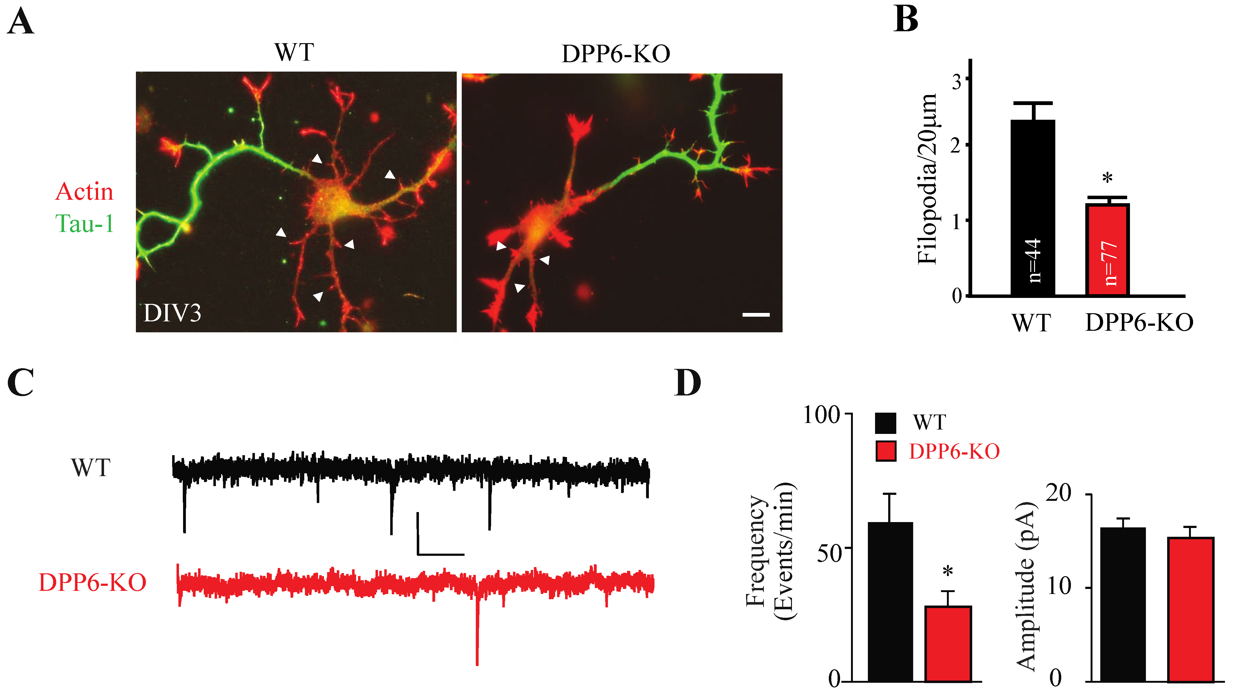Ijms 23 09184 g003 Ijms 23 09184 g003