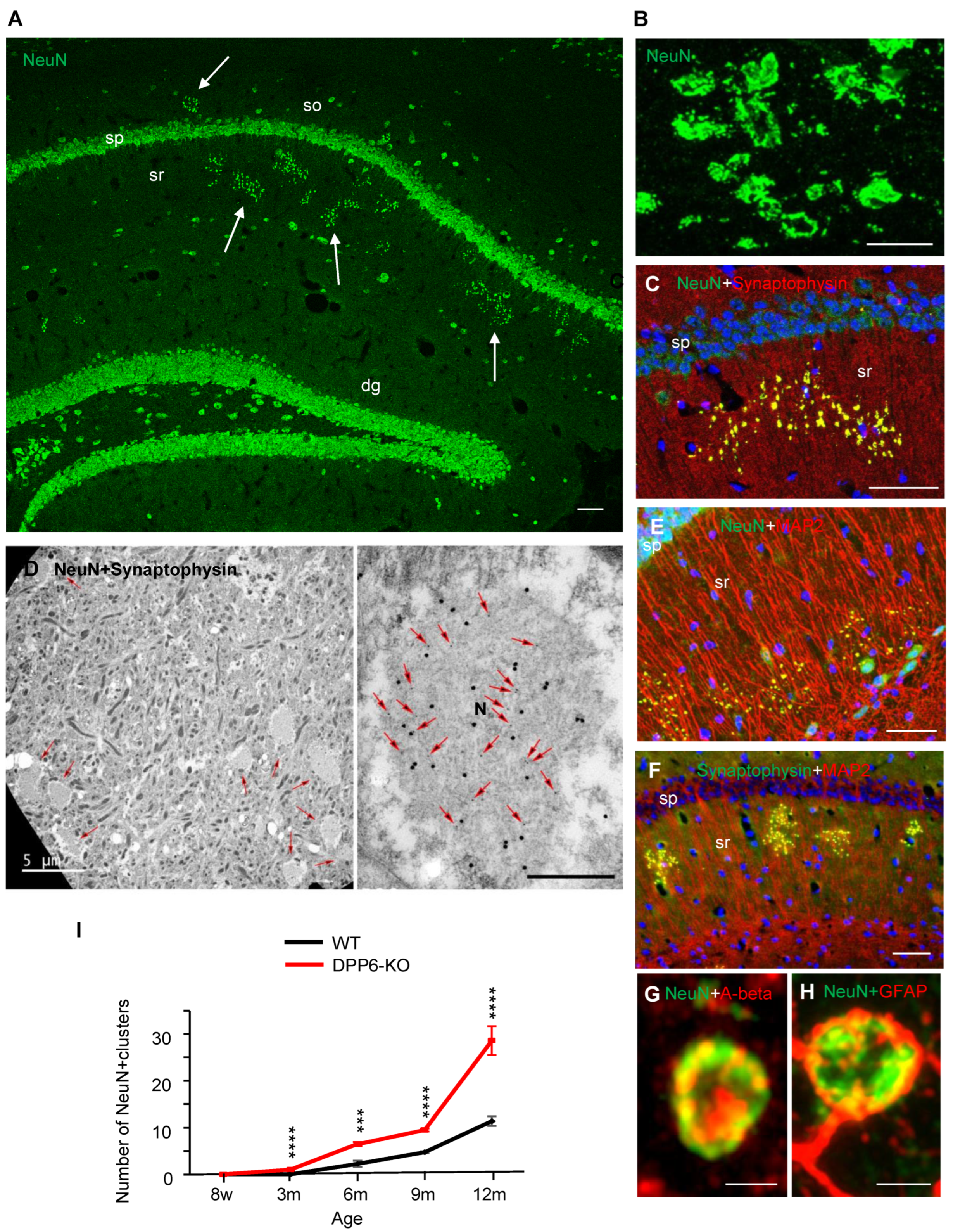 Ijms 23 09184 g004 Ijms 23 09184 g004