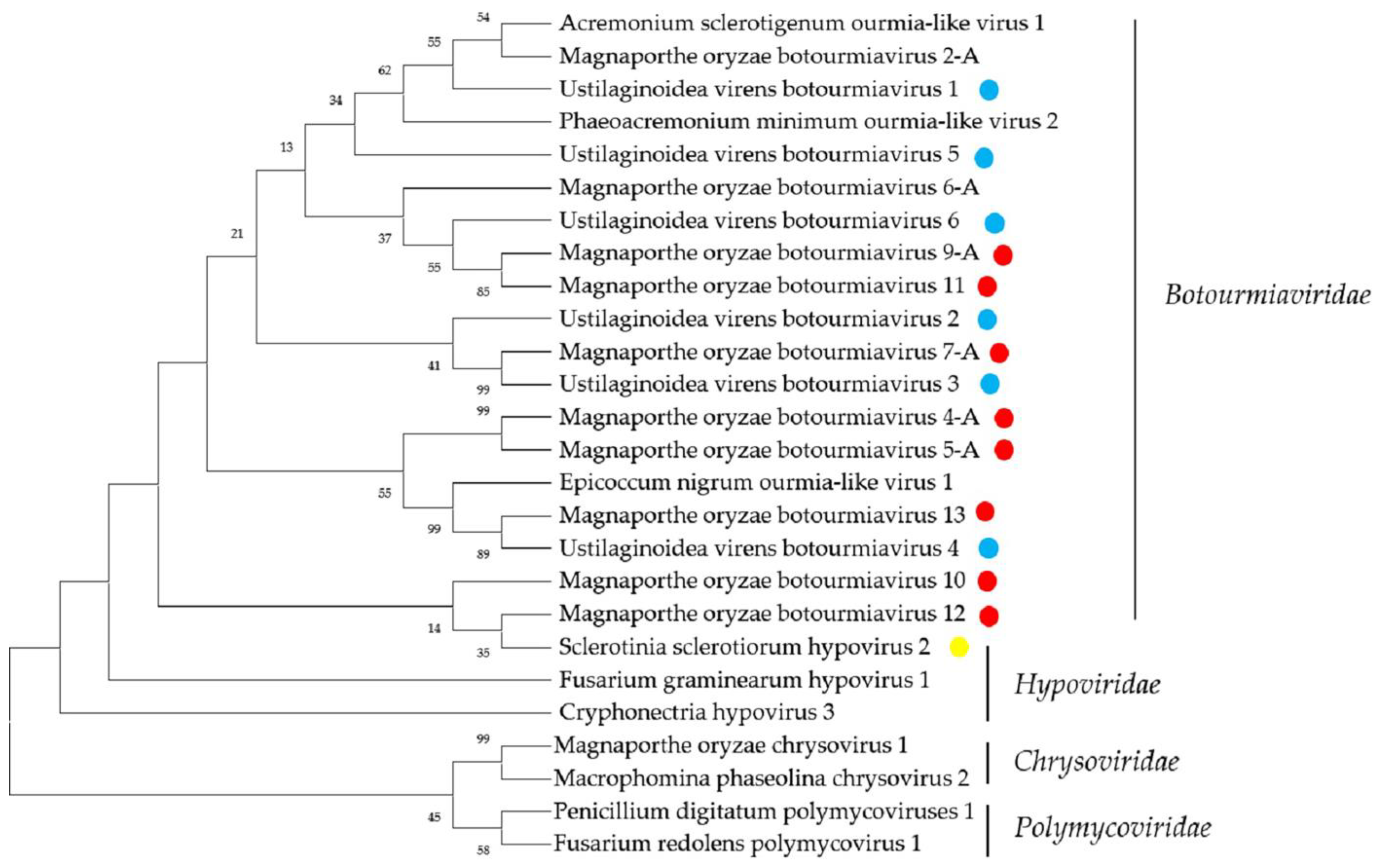 Ijms 23 09192 g003 550
