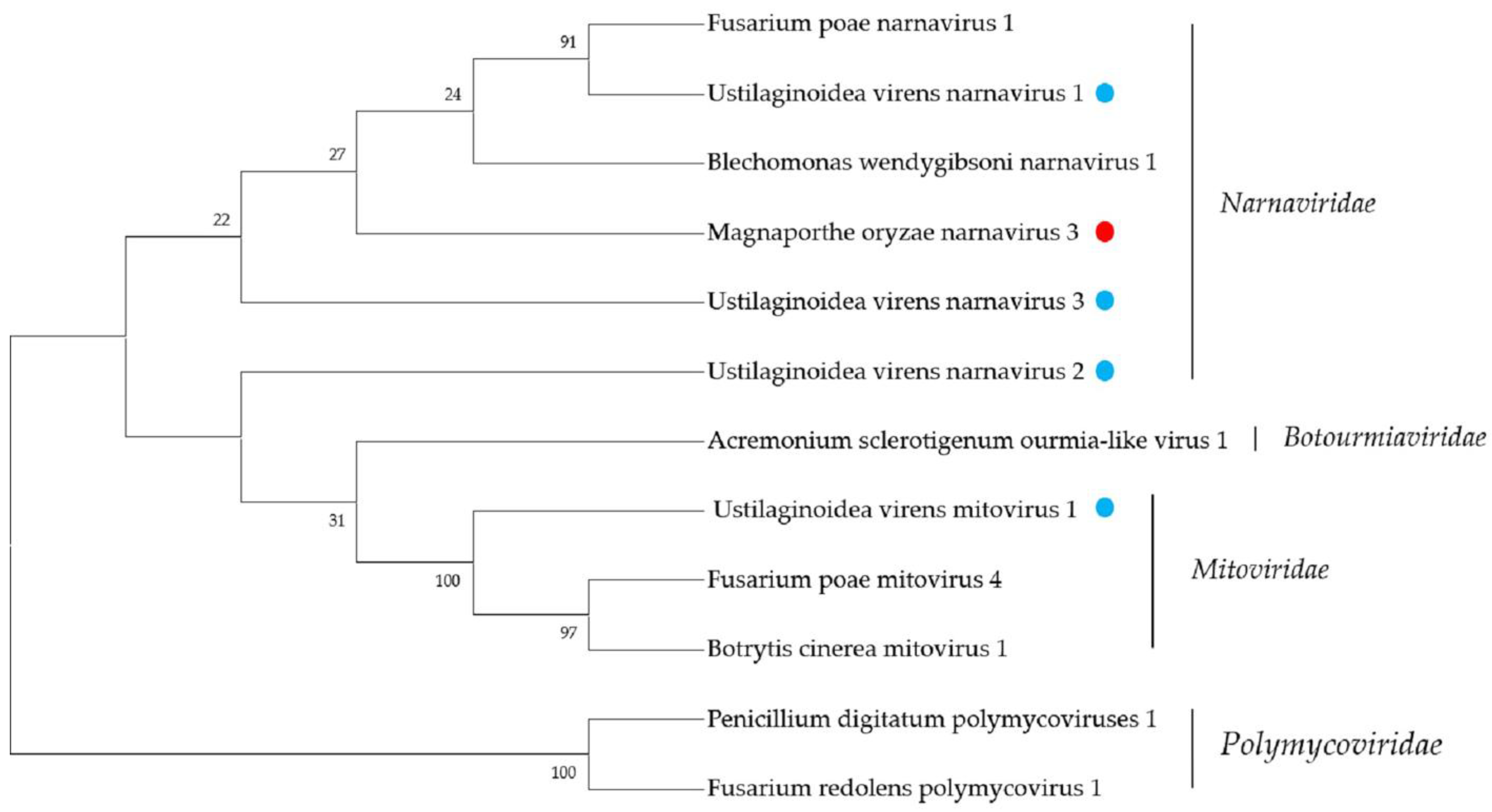 Ijms 23 09192 g004 550
