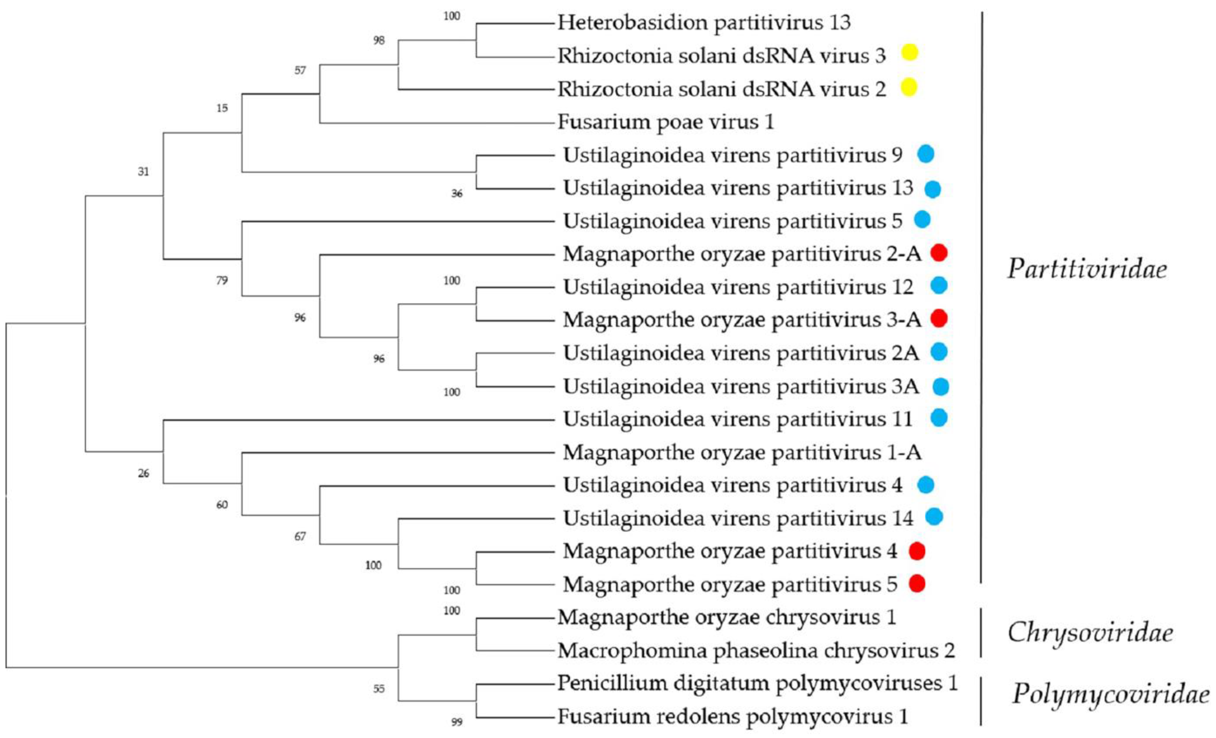 Ijms 23 09192 g005 550