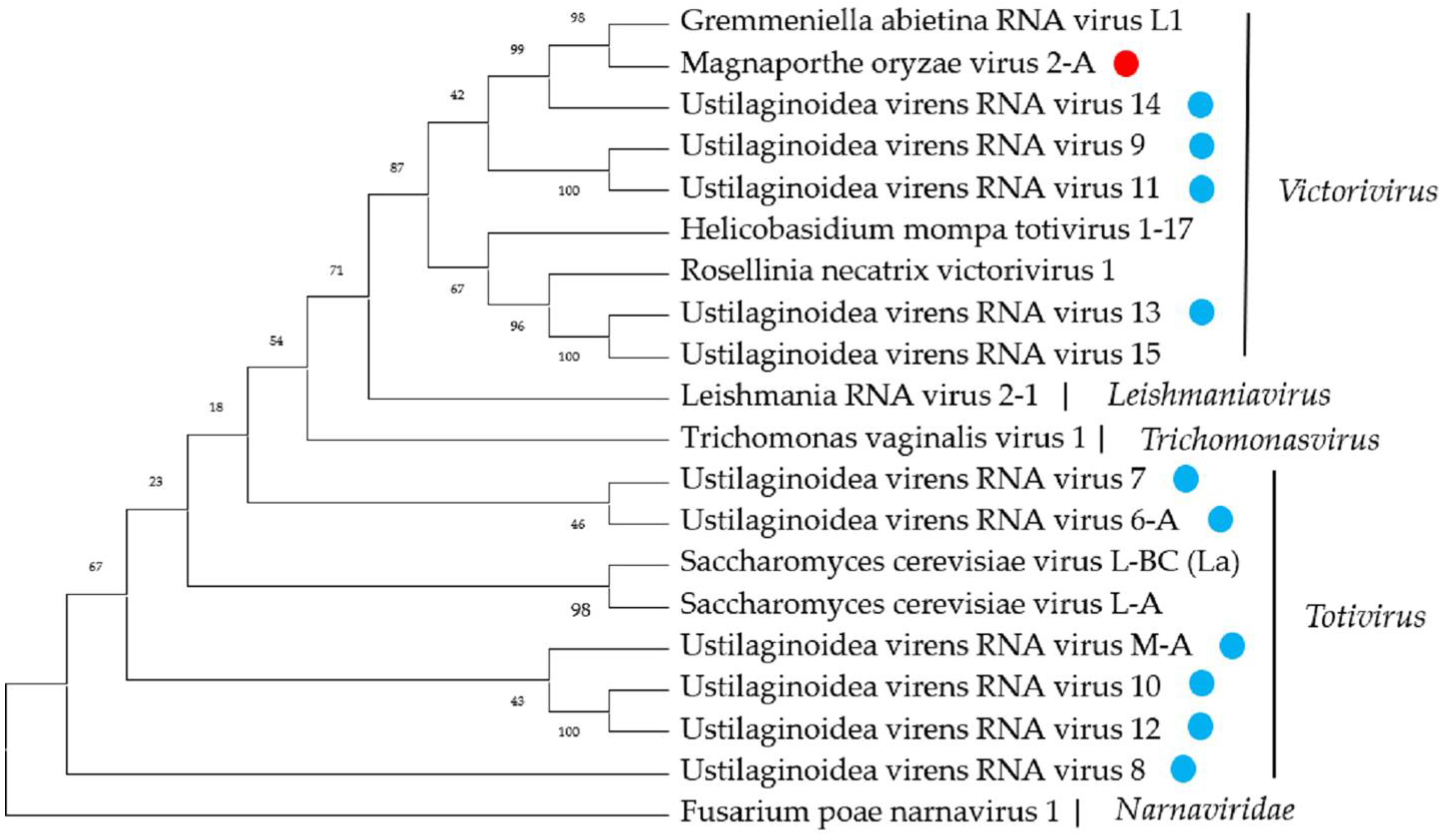 Ijms 23 09192 g006 550