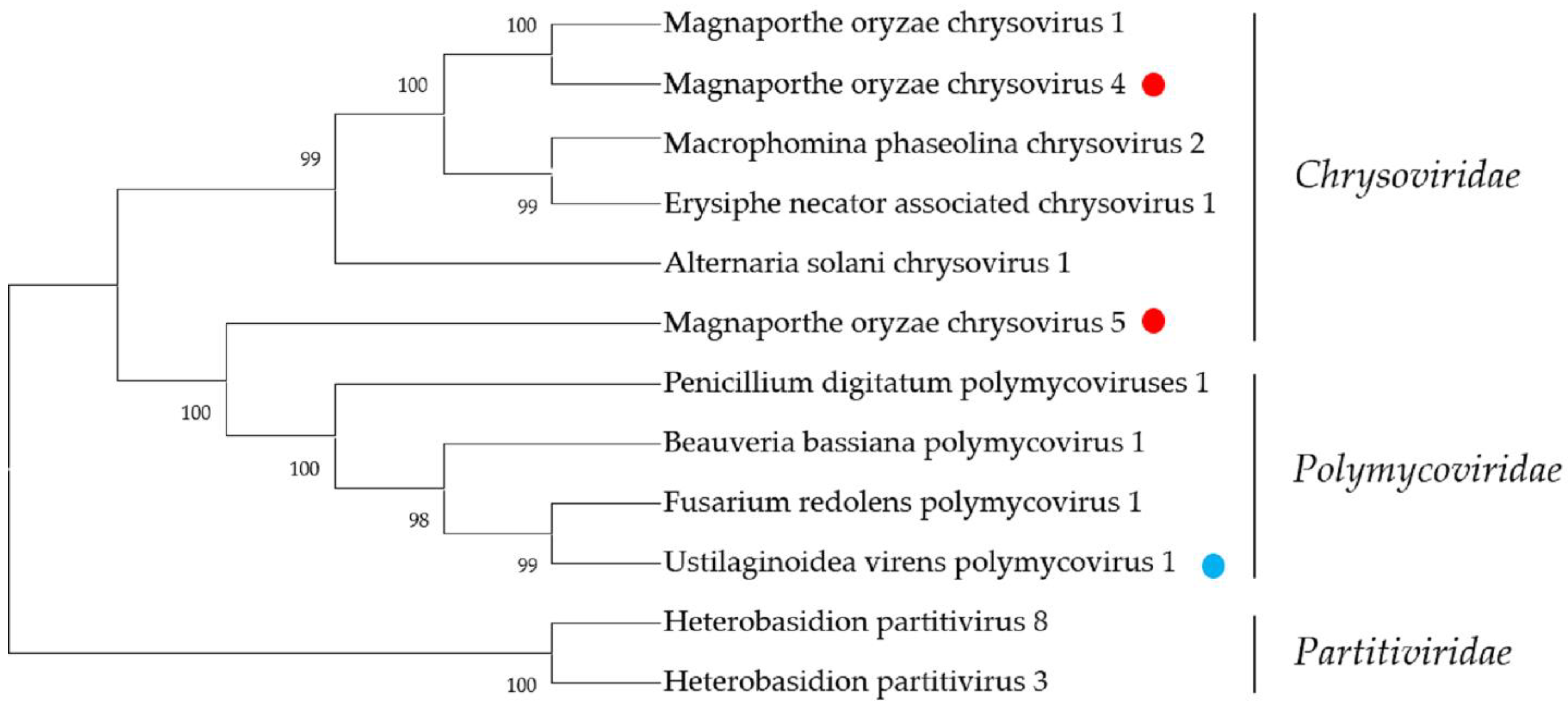 Ijms 23 09192 g007 550