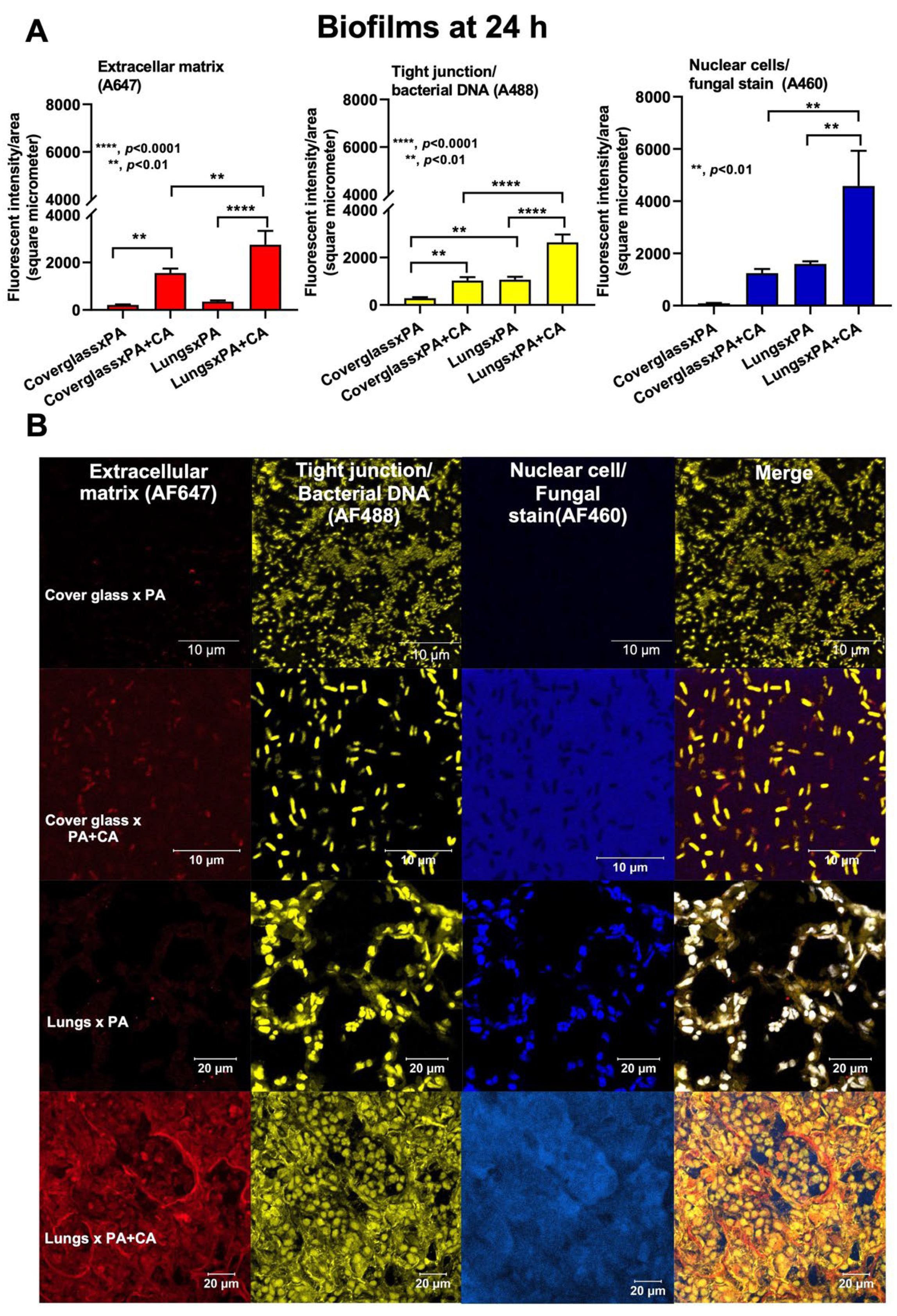 Ijms 23 09202 g006 Ijms 23 09202 g006