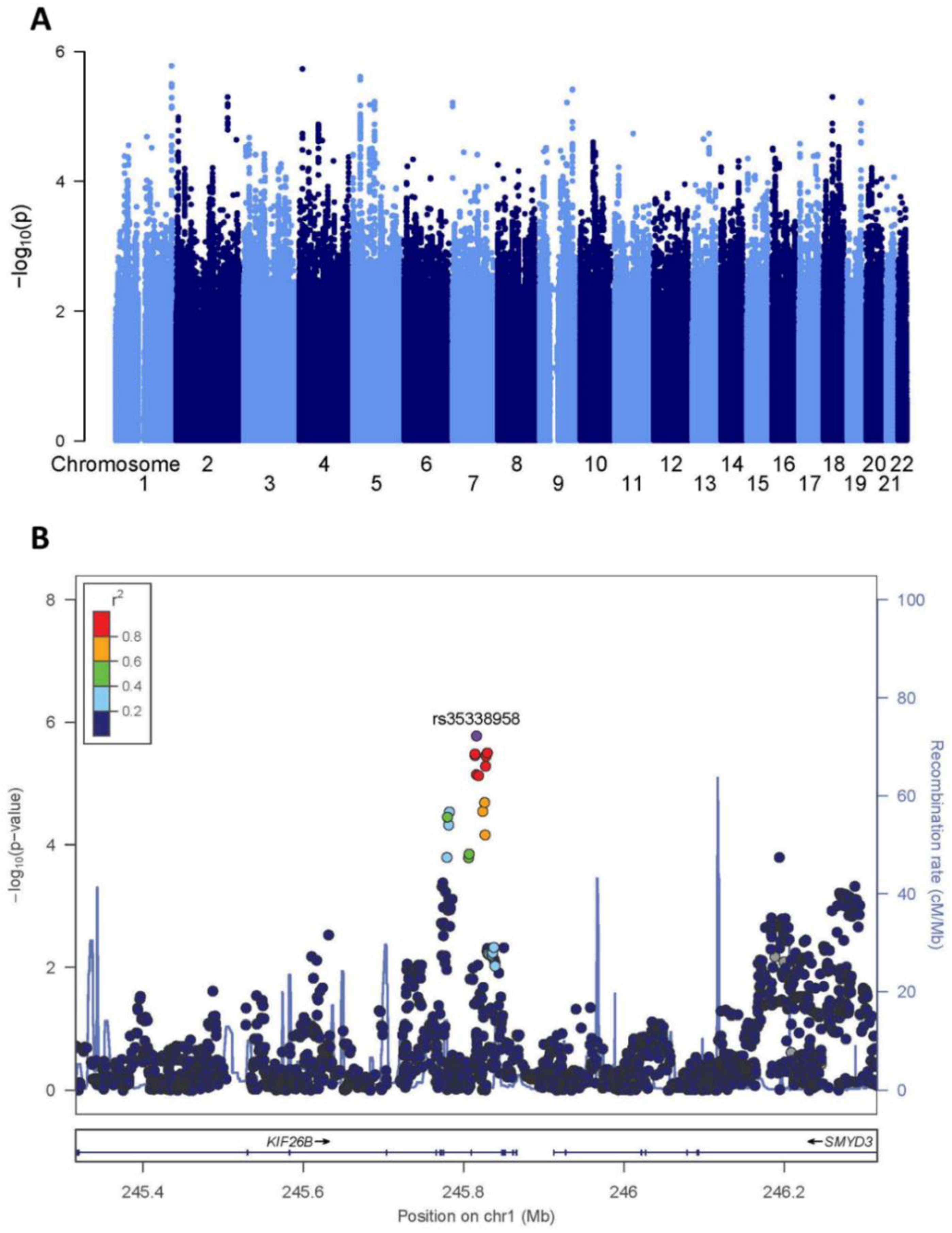 Ijms 23 09203 g001 Ijms 23 09203 g001