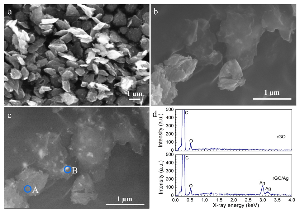 Ijms 23 09204 g002 550