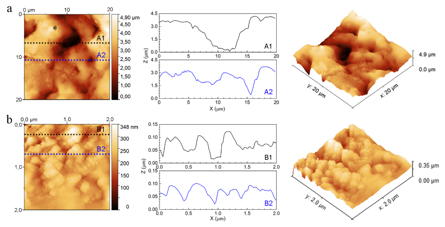 Ijms 23 09204 g007 550