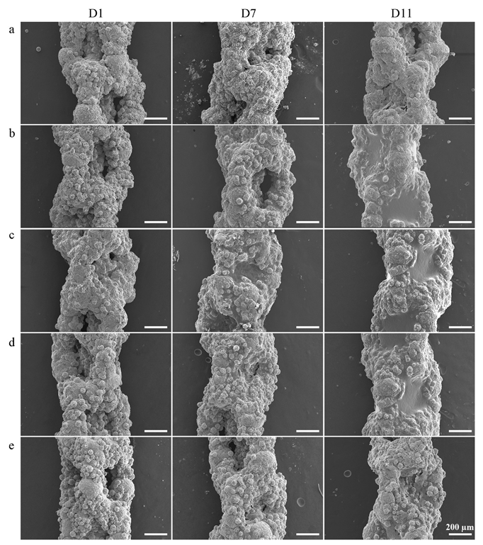 Ijms 23 09204 g011 550